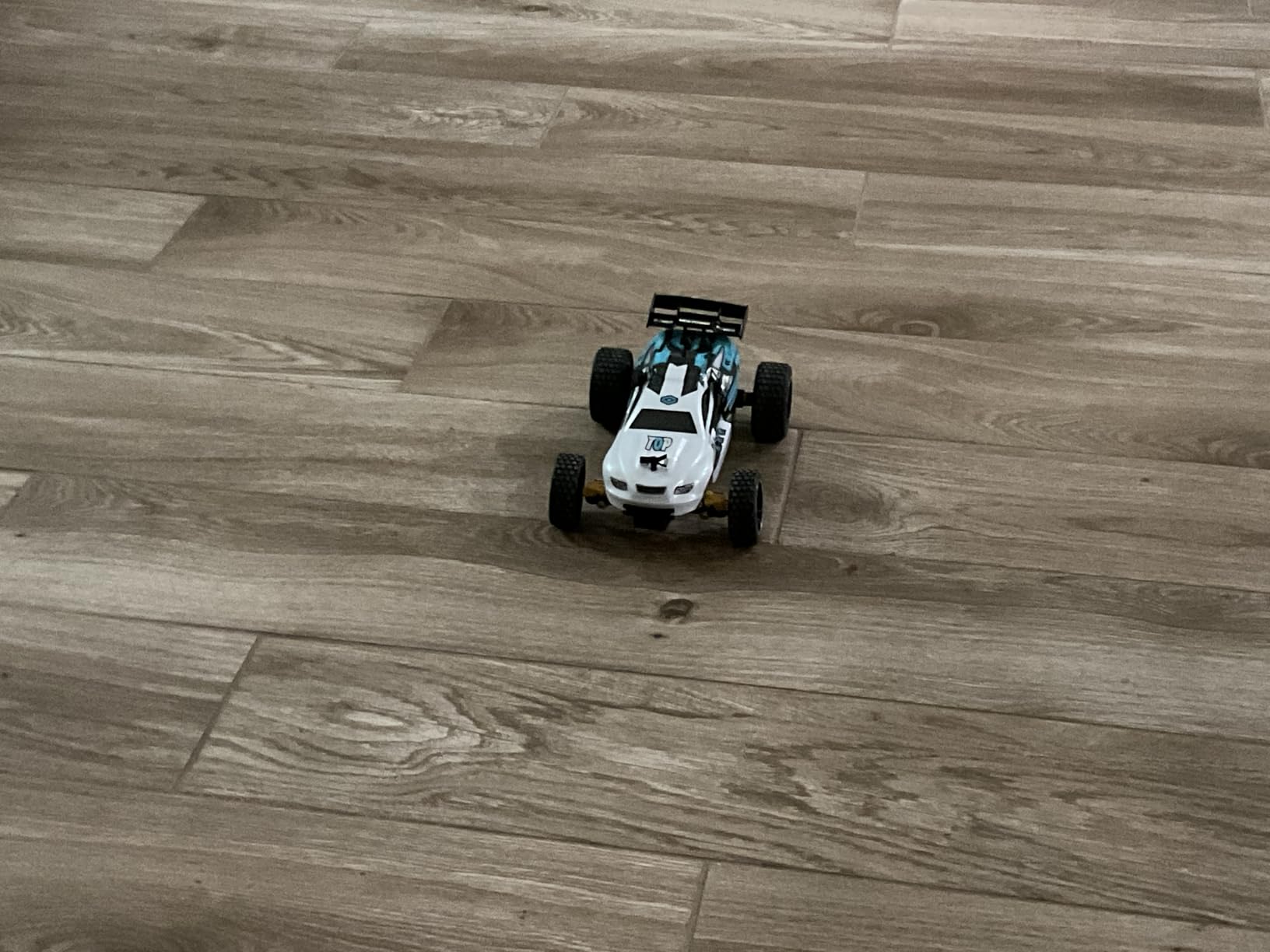 Tecnock RC Cars Remote Control Car for Kids, 1:18 Scale 20 KM/H 2WD Offroad Buggy, 2.4GHz RC Racing Car with USB-C Easy Charging & 50 Mins Playtime, Toys Gifts for Boys & Girls - Customer Photo 1
