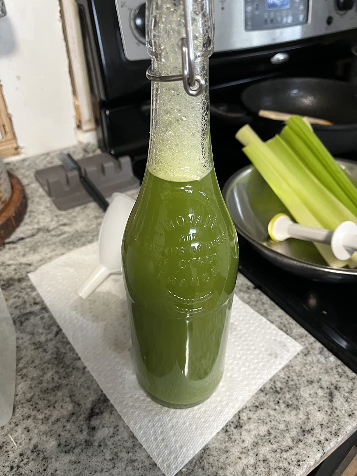 Omega Masticating Juicer, Cold Press Juicer Machine For Celery with Adjustable Dial - Customer Photo 1