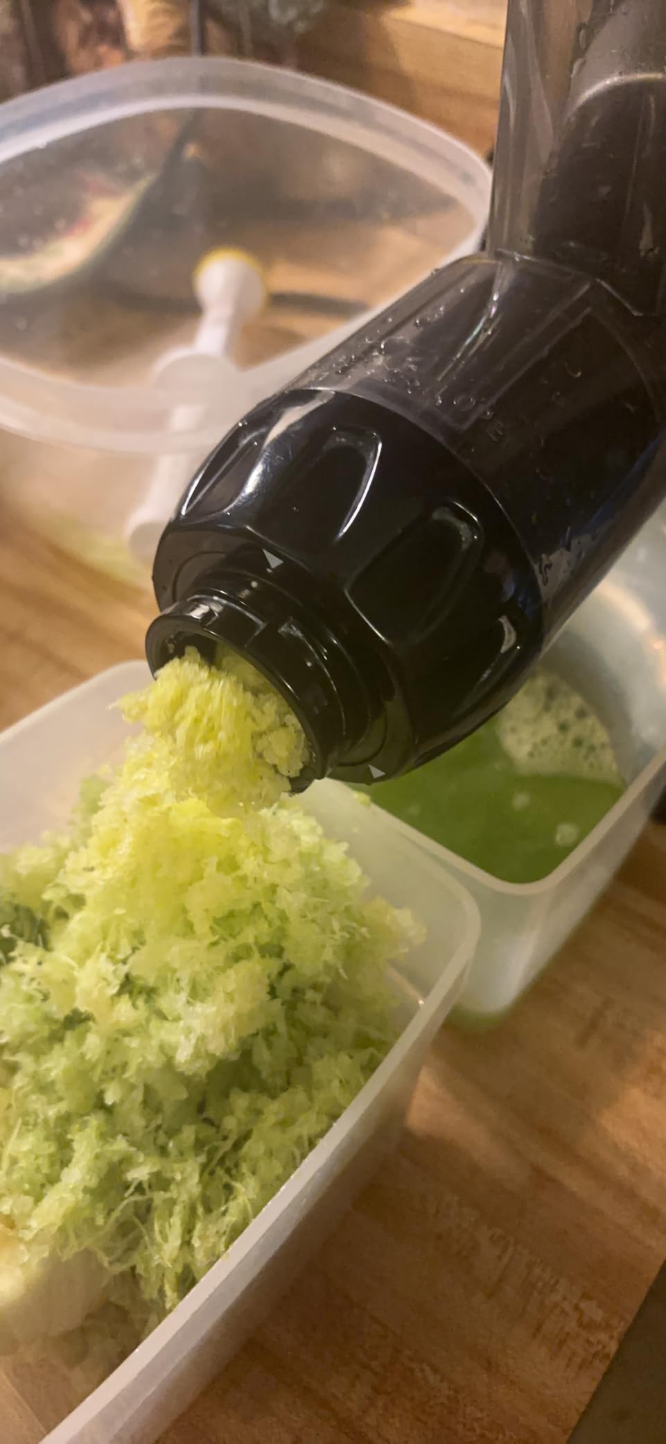Omega Masticating Juicer, Cold Press Juicer Machine For Celery with Adjustable Dial, 200-Watts, Silver - Customer Photo 1