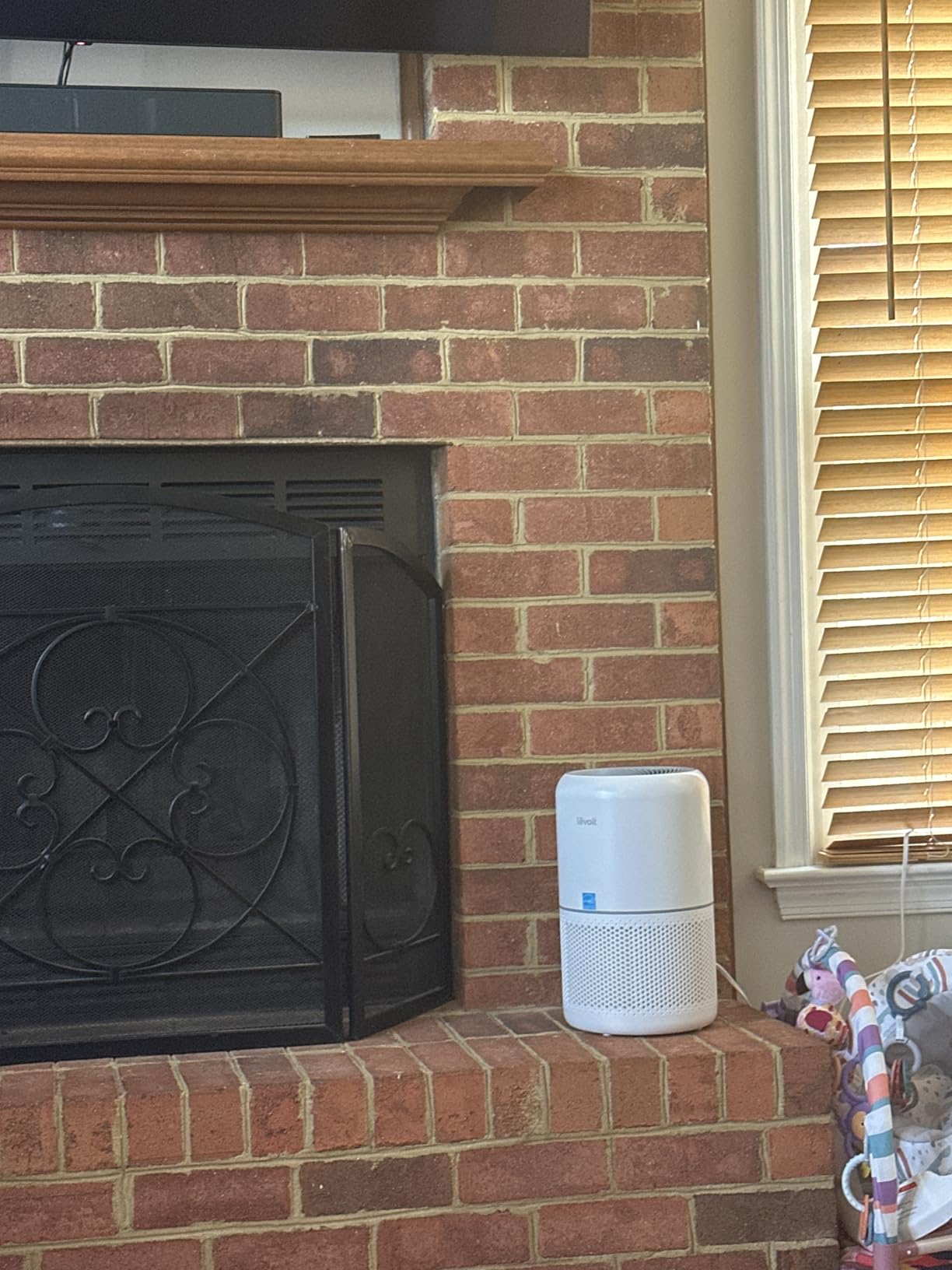 LEVOIT Air Purifier for Pets, Home, Large Rooms, and Bedrooms, HEPA Sleep Mode, AHAM VERIFIDE, Efficient Filter for Pet Dander, Odors, Captures Smoke, Dust, Mold, Pollen, Pet Lock, Core P350-P, Grey - Customer Photo 1