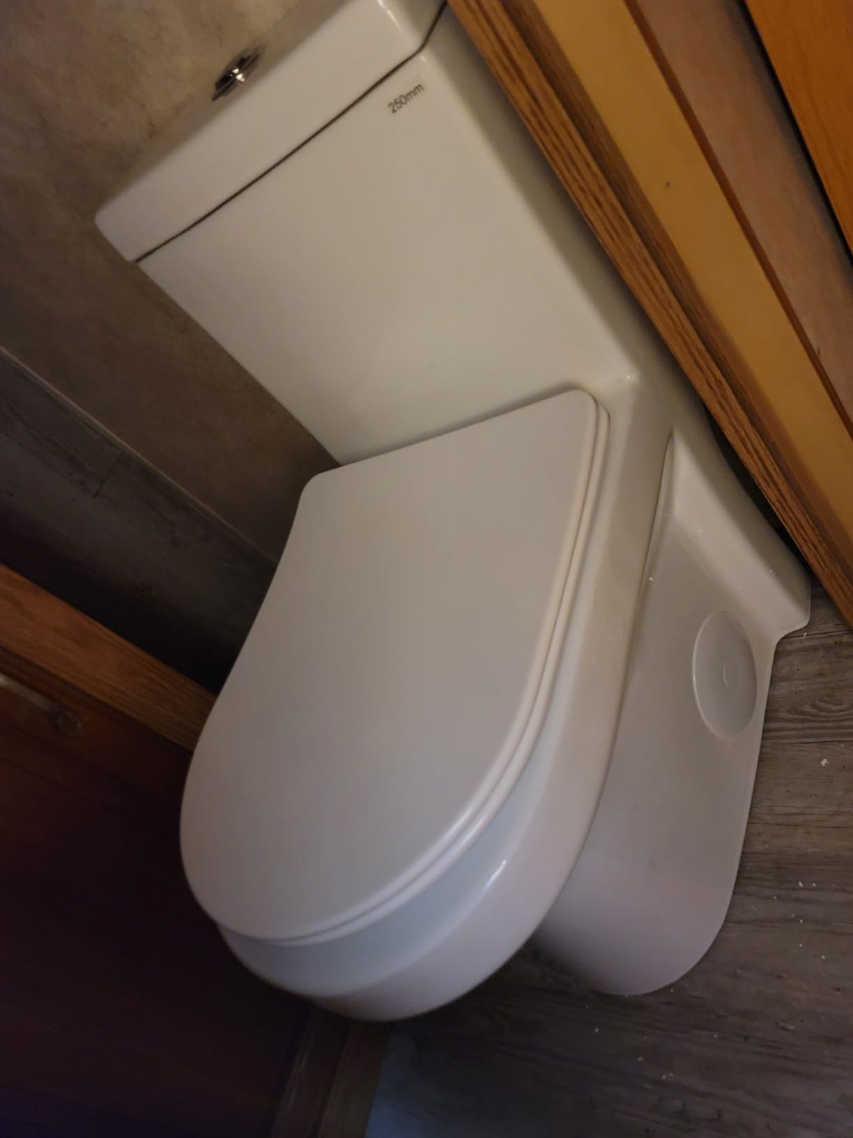 Dual flush toilet - Customer Photo 2