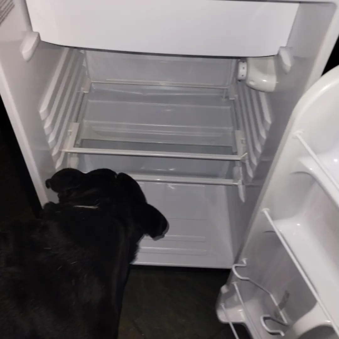 Frigidaire, 4.5 cu ft Refrigerator, Stainless Steel Door, Platinum Series - Customer Photo 1