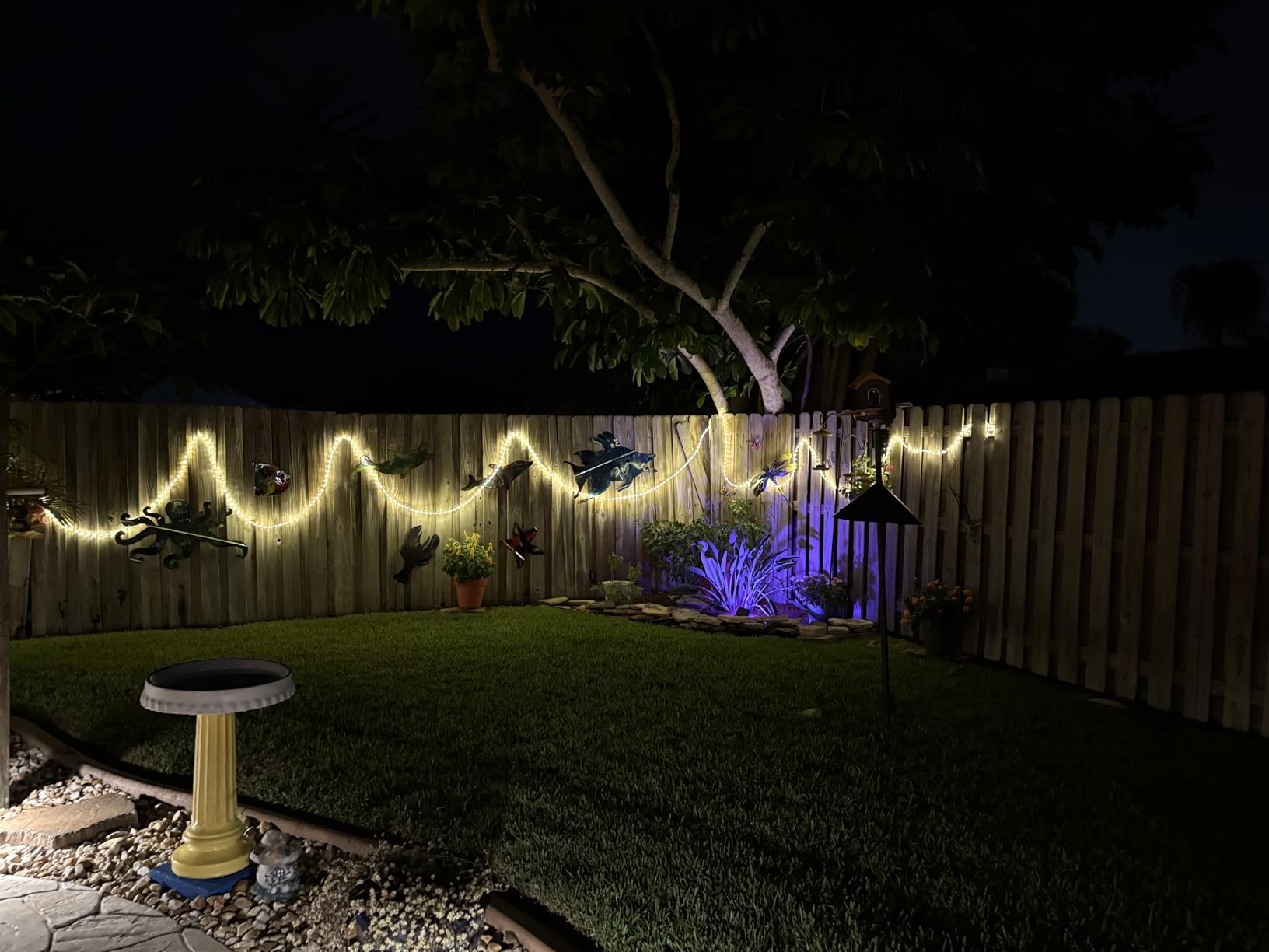 100ft LED Rope Lights Outdoor, 720 LED Connectable and Flexible Tube Lights with 8 Modes, Waterproof LED Rope Lighting for Garden, Patio, Pool, Bedroom, Party, Indoor Outdoor Decoration (White) - Customer Photo 1