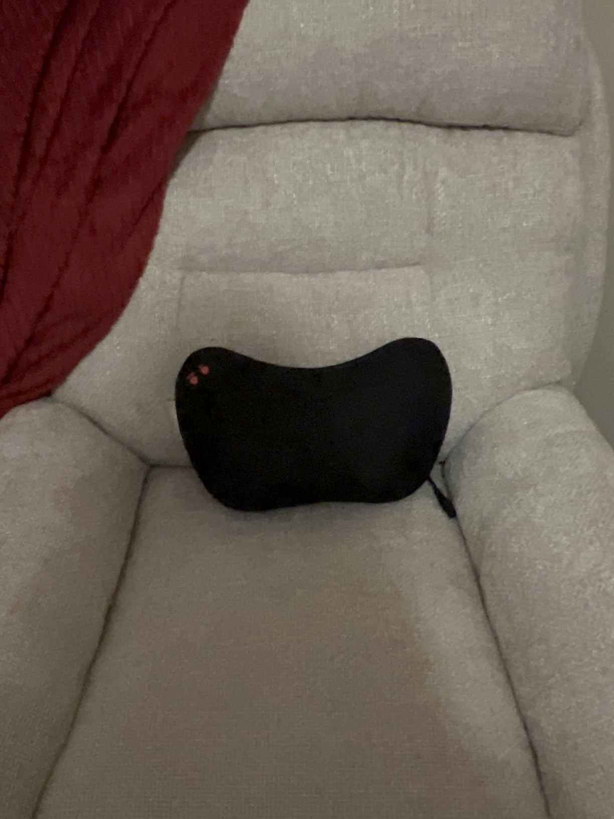 Papillon Back Massager,Shiatsu Neck Massager for Pain Relief,Electric Shoulder Foot Massage Pillow with Heat,Gifts for Mothers Day,Christmas Gifts for Women/Men,Deep Tissue Kneading for Waist,Legs - Customer Photo 1