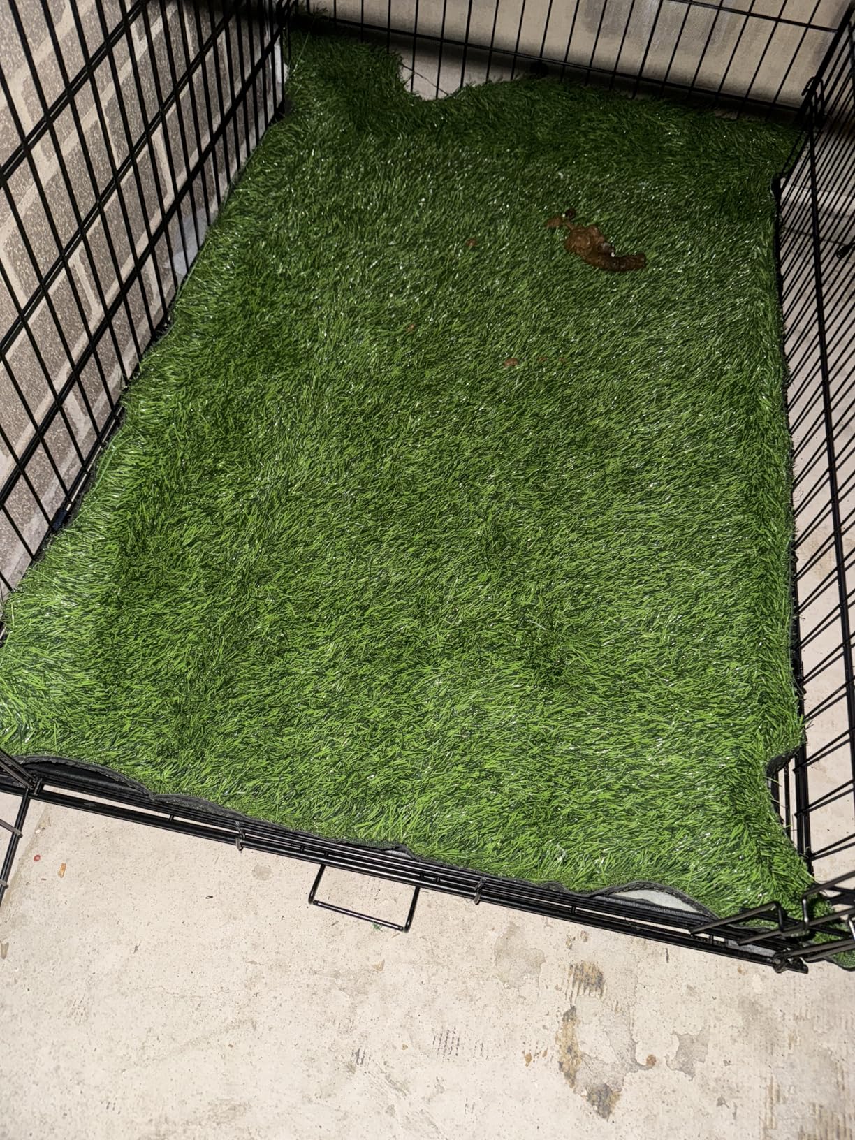 Artificial Grass, Professional Dog Grass Mat, Potty Training Rug and Replacement Turf Outdoor Rug Patio Lawn Decoration, Easy to Clean with Drainage Holes(47.3x31.5 inches) - Customer Photo 1