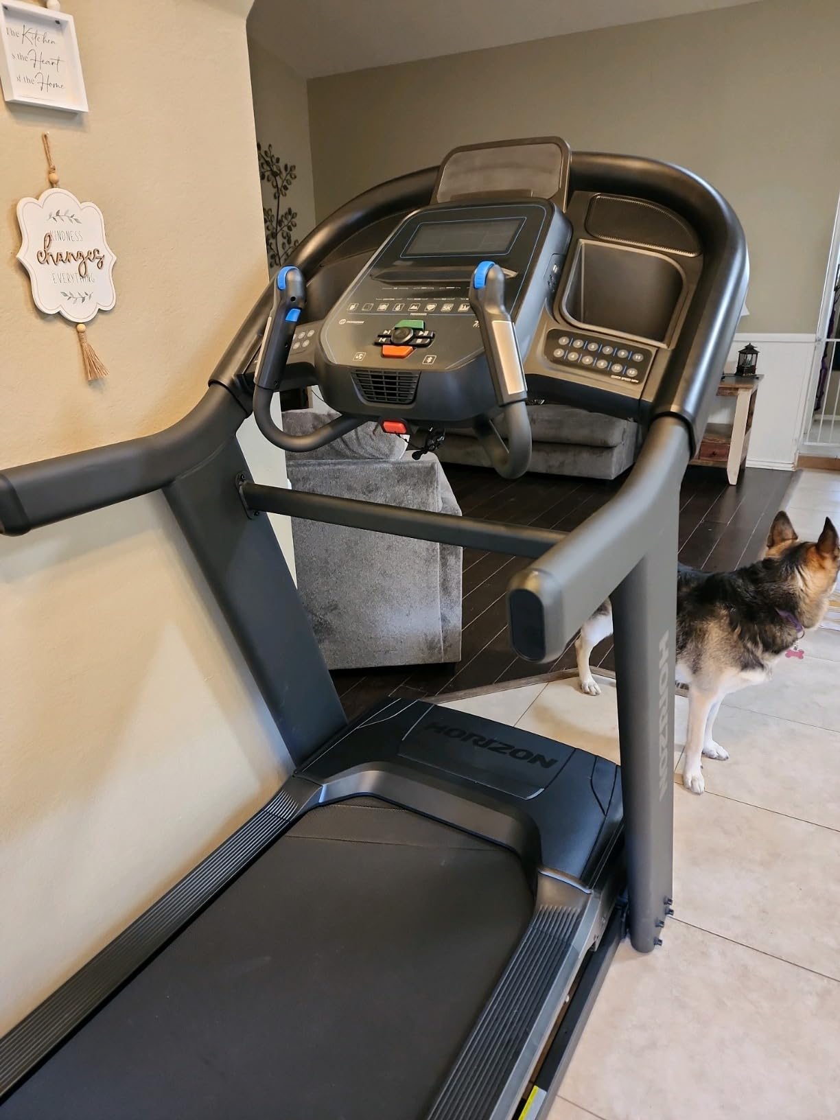 Horizon Fitness 7.4 at Studio Series Smart Treadmill with Bluetooth and Incline, Heavy Duty Folding Treadmill 350 lbs Weight Capacity, Pro Running Machine for Home Exercise and Running with Apps - Customer Photo 2