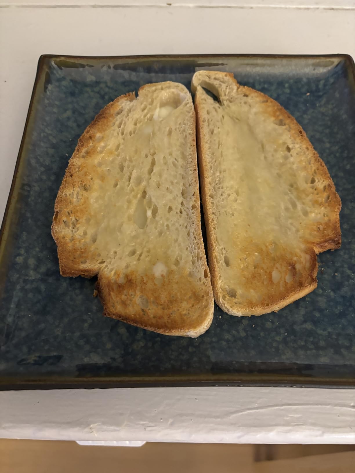 Cuisinart CPT-2500 Long Slot Toaster, Stainless Steel, Silver, 2-slice long slot Customer Review Cuisinart CPT-2500 Long Slot Toaster, Stainless Steel, Silver, 2-slice long slot - Customer Photo 1