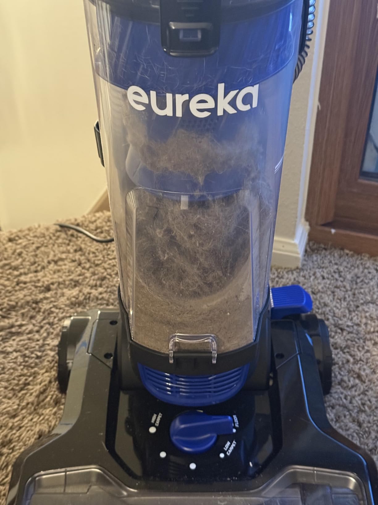 Eureka Lightweight Powerful Upright Vacuum Cleaner for Carpet and Hard Floor, PowerSpeed, New Model, Blue customer photo 2