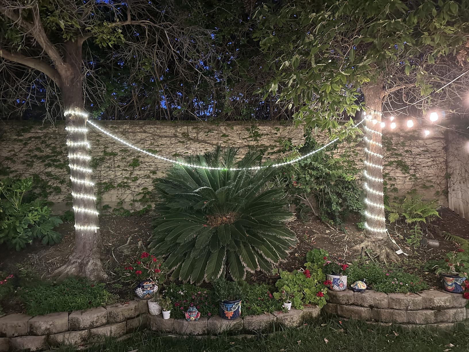 UltraPro LED Rope Lights, 25ft Classic Clear Rope, Warm White Light 3000K, Indoor/Outdoor, Flexible, Linkable, Durable, Rope Lights Outdoor, 54504 - Customer Photo 1