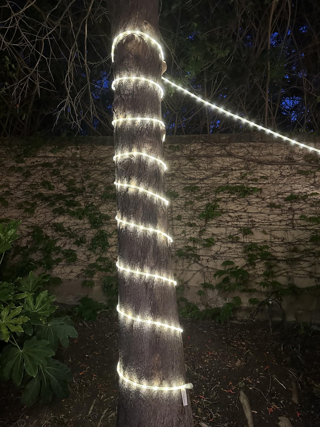 UltraPro LED Rope Lights, 25ft Classic Clear Rope, Warm White Light 3000K, Indoor/Outdoor, Flexible, Linkable, Durable, Rope Lights Outdoor, 54504 - Customer Photo 2