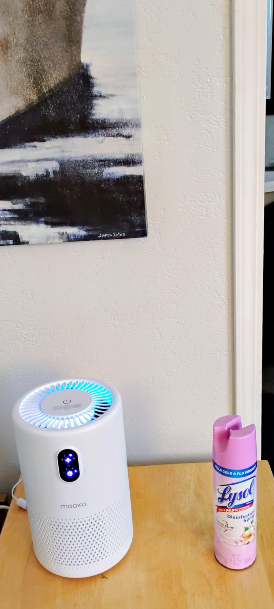 MOOKA Air Purifiers for Home Large Room up to 1076 ft², H13 True HEPA Air Filter Cleaner, Odor Eliminator, Remove Smoke Dust Pollen Pet Dander, Night Light(Available for California) - Customer Photo 1