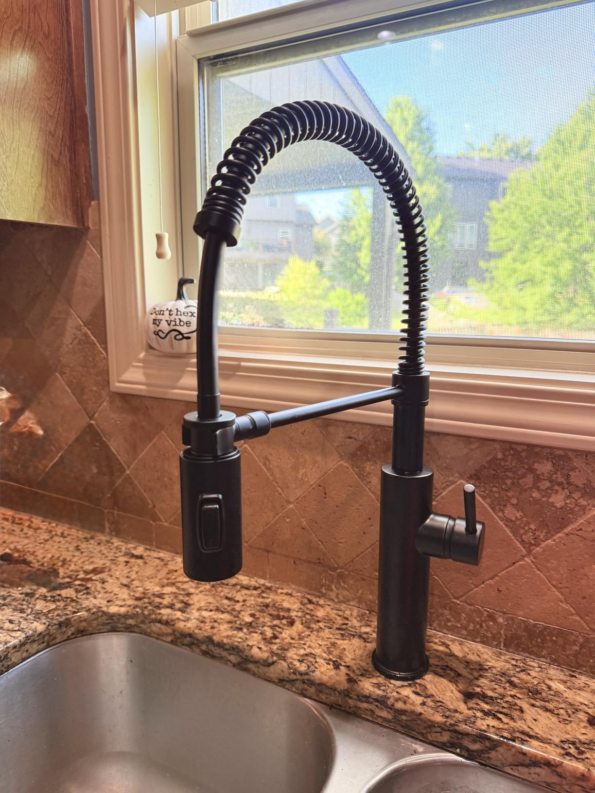Delta Antoni Pro Style Commercial Kitchen Faucet with Pull Down Sprayer, Brushed Nickel Single Hole Kitchen Sink Faucet, Single Handle, Spotshield Stainless 18803-SP-DST - Customer Photo 1