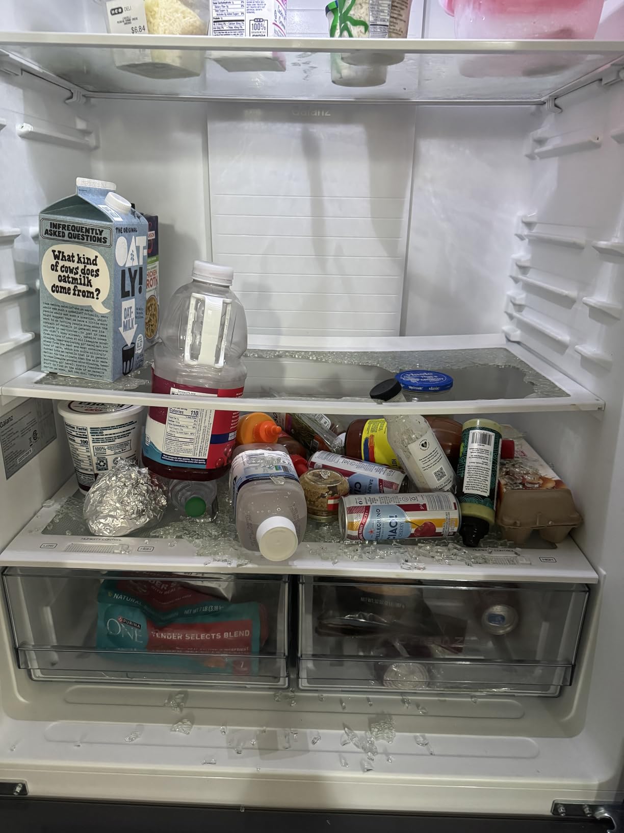 Galanz 3-Door French Door Refrigerator with Bottom Freezer & Adjustable Thermostat, 16 Cu Ft, White - Customer Photo 2