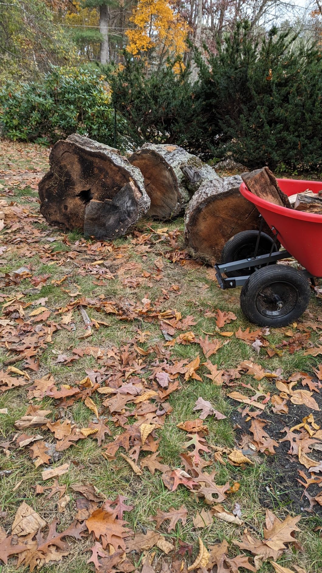 BILT HARD Log Splitter 6.5 Ton, Wood Splitter Electric Powered 15Amp, with Hydraulic Ram, Electric Firewood Splitting Machine, Horizontal - Customer Photo 1