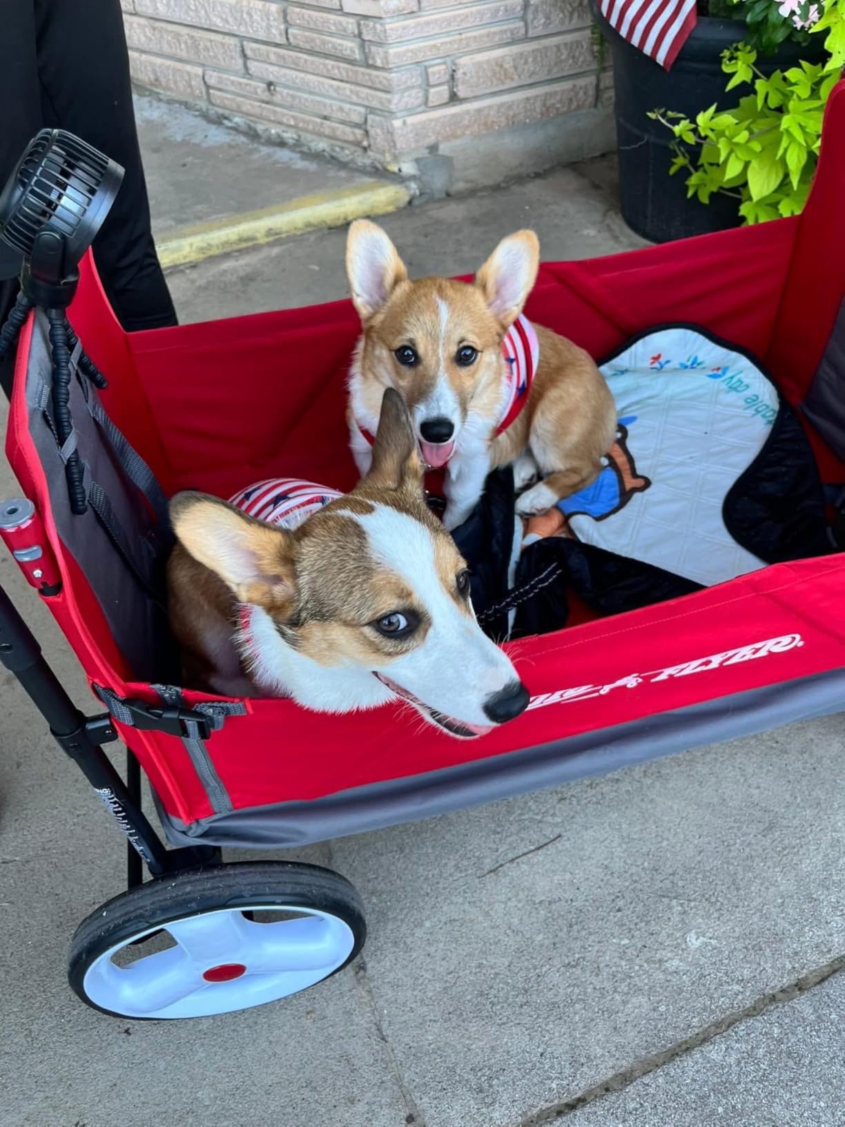 Stroller Wagon for Kids, Baby Stroller, Utility Cart, Rolling Cart, Radio Flyer City Luxe Stroll 'N Wagon, for Ages 1+ Years, Gray - Customer Photo 1