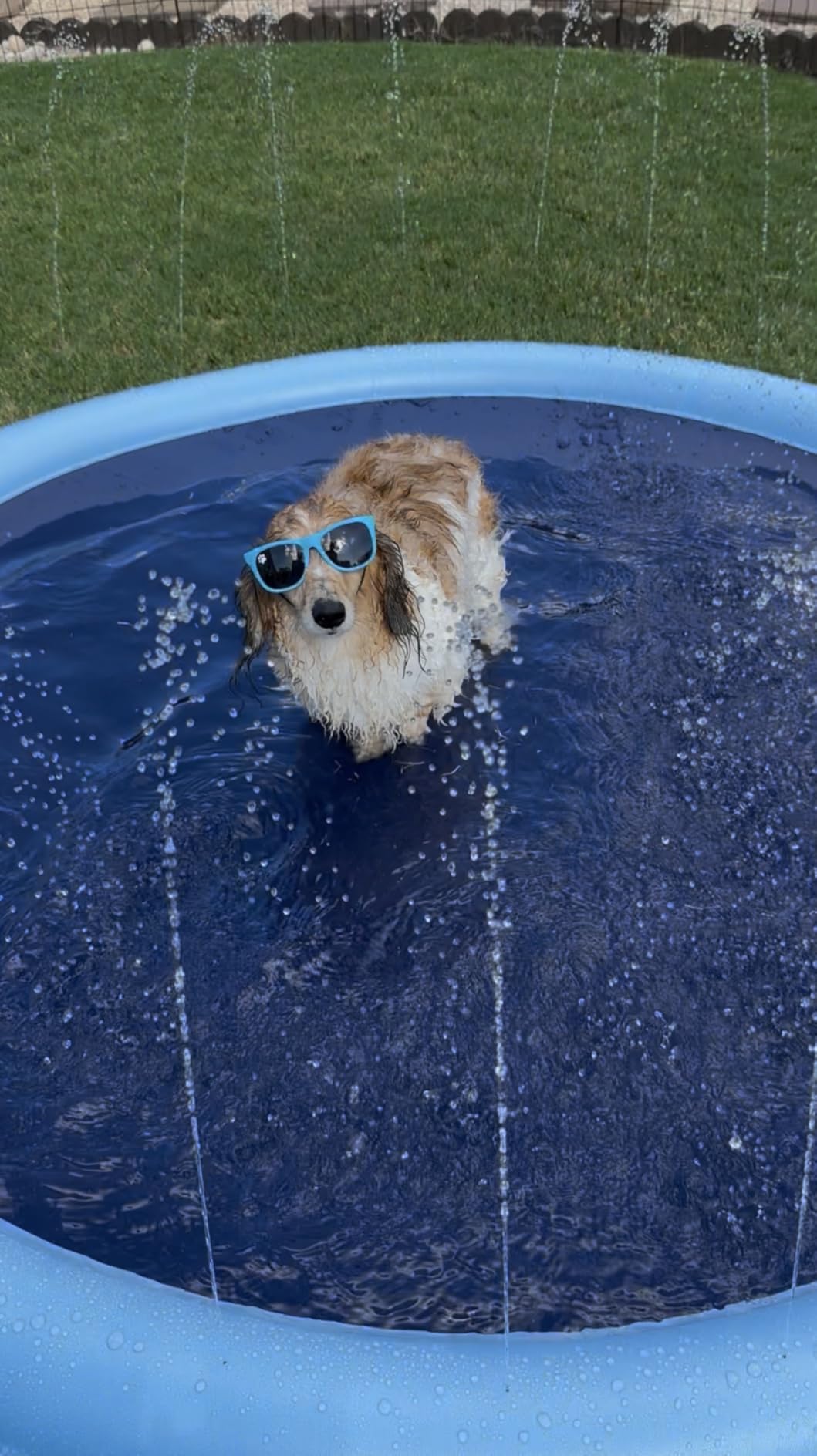 VISTOP Non-Slip Splash Pad for Kids and Dog, Thicken Sprinkler Pool Summer Outdoor Water Toys - Fun Backyard Fountain Play Mat for Baby Girls Boys Children or Pet Dog (77 inch, Blue&Blue) - Customer Photo 1