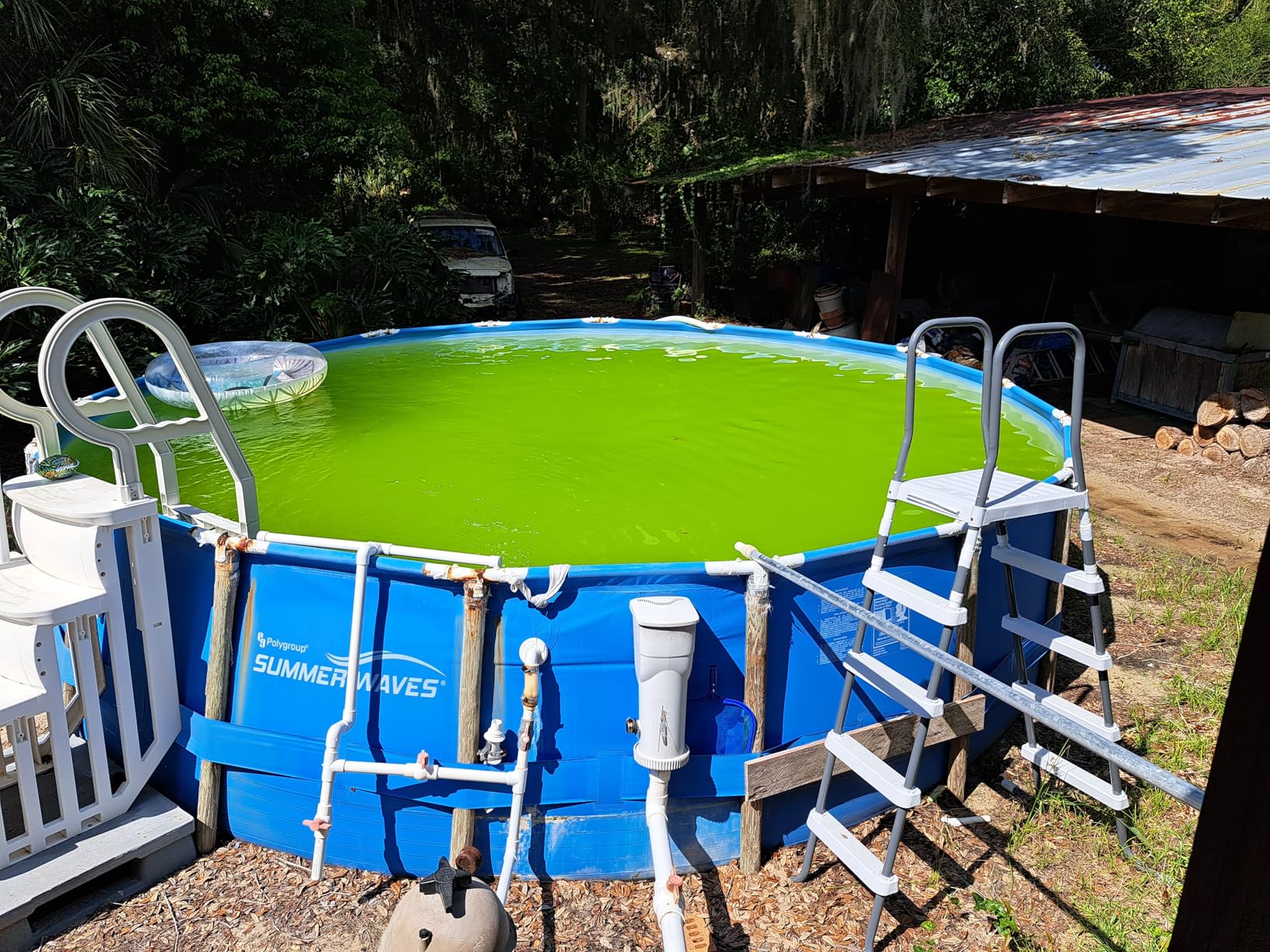 HTH 67084 Pool Care Algae Guard Advanced, All Algae Eliminator for Swimming Pools - Fast-Acting, Destroys & Prevents Green, Black & Mustard Algae, Keeps Pool Water Crystal Clear, 32 fl oz - Customer Photo 2