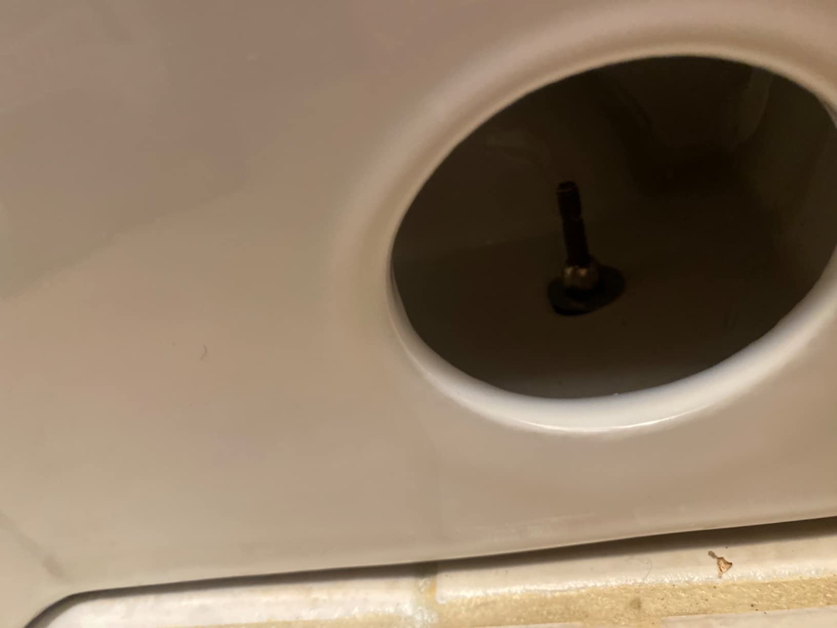 Dual flush toilet - Customer Photo 2