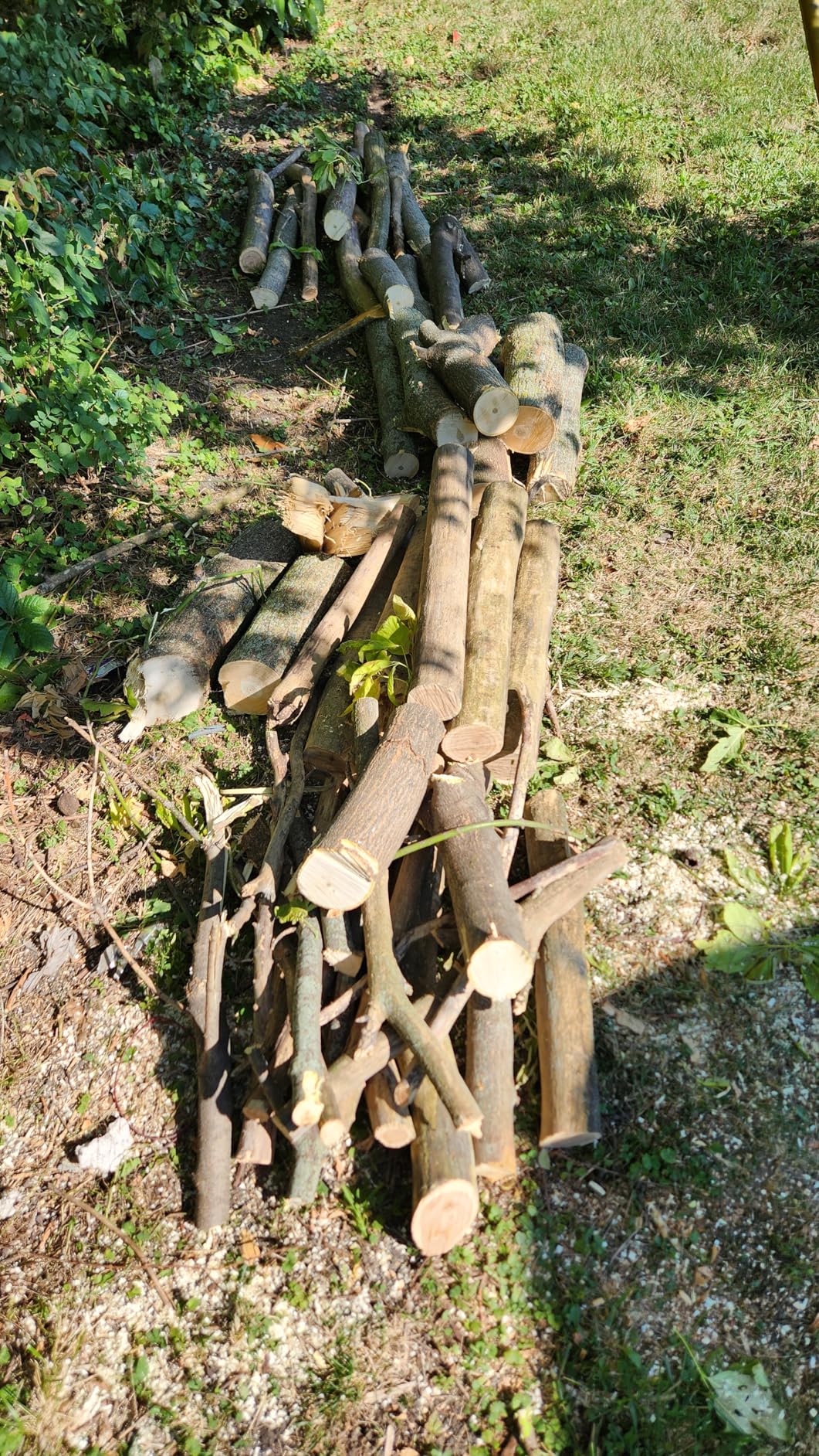 EGO POWER+ Chain Saw, 16