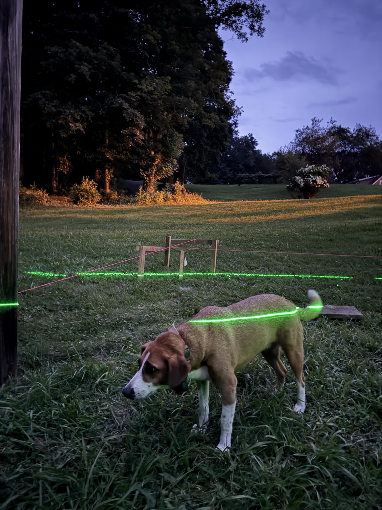 IKOVWUK Laser Level, 3x360° Cross Line Laser for Construction and Picture Hanging, 12 Green Lasers with Self-leveling, 3D Vertical & Horizontal Line, Level Tool with 5200 mAh Rechargeable Battery - Customer Photo 1