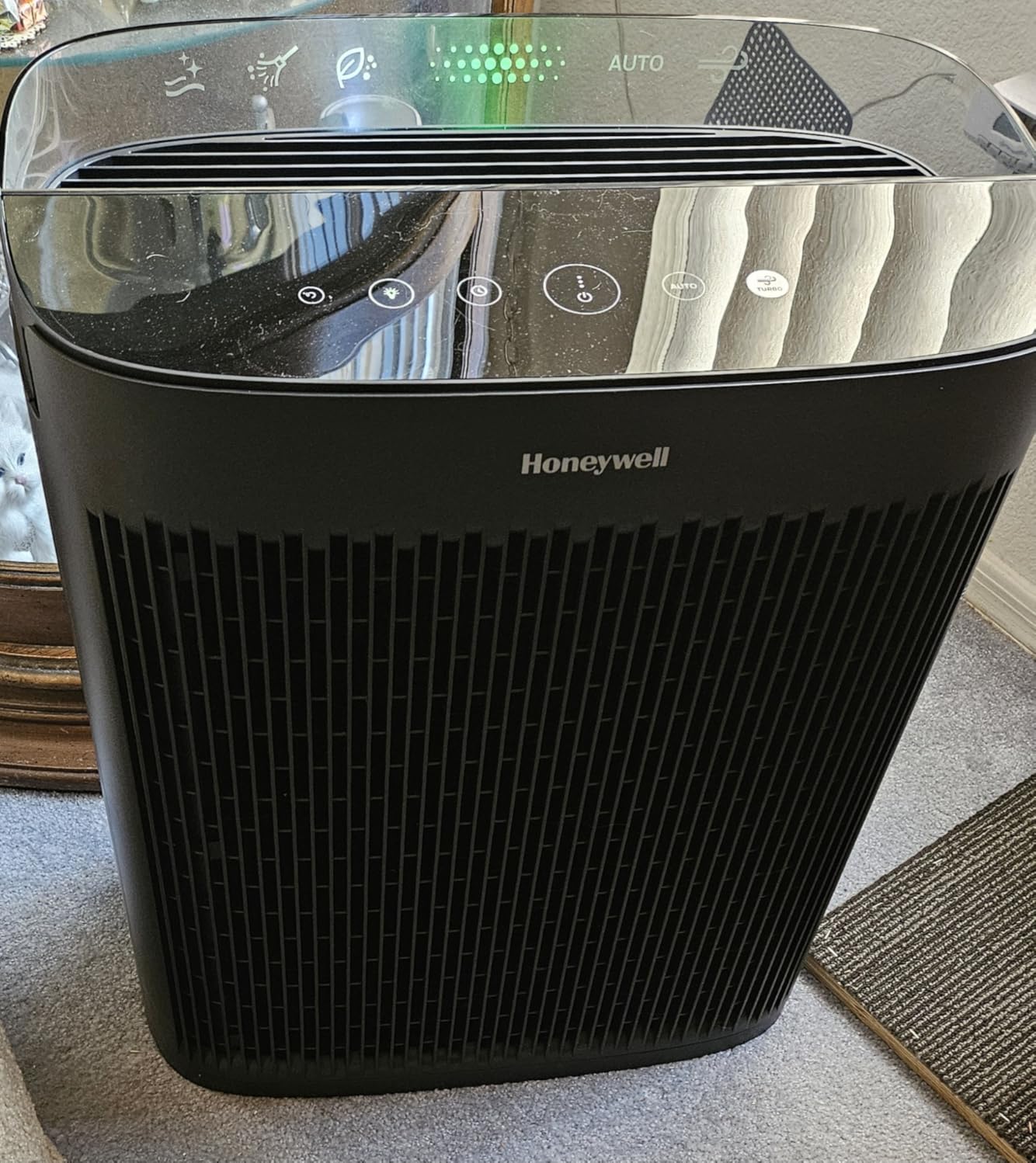 Honeywell Allergen Plus HEPA Air Purifier for Home, Large Rooms up to 900 Ft², Turbo Clean, HEPA Filter Reduces Allergens, Dust, Pollen, Pet Dander, All Smoke Types, Odors, Black, HPA5100B - Customer Photo 1