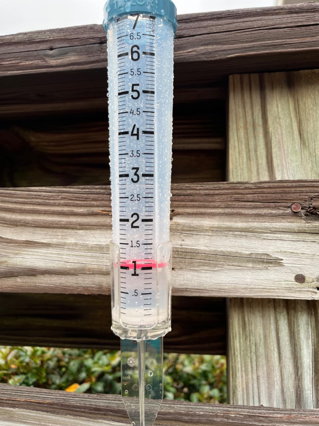 Taylor Capacity Break and Freeze Proof Flexible Silicone Rain Gauge, Measure and Monitor Precipitation, Easy to Read for Backyard, Patio, Garden, and Lawn, Post Mount or Ground Stake, 7-inch, Teal - Customer Photo 1