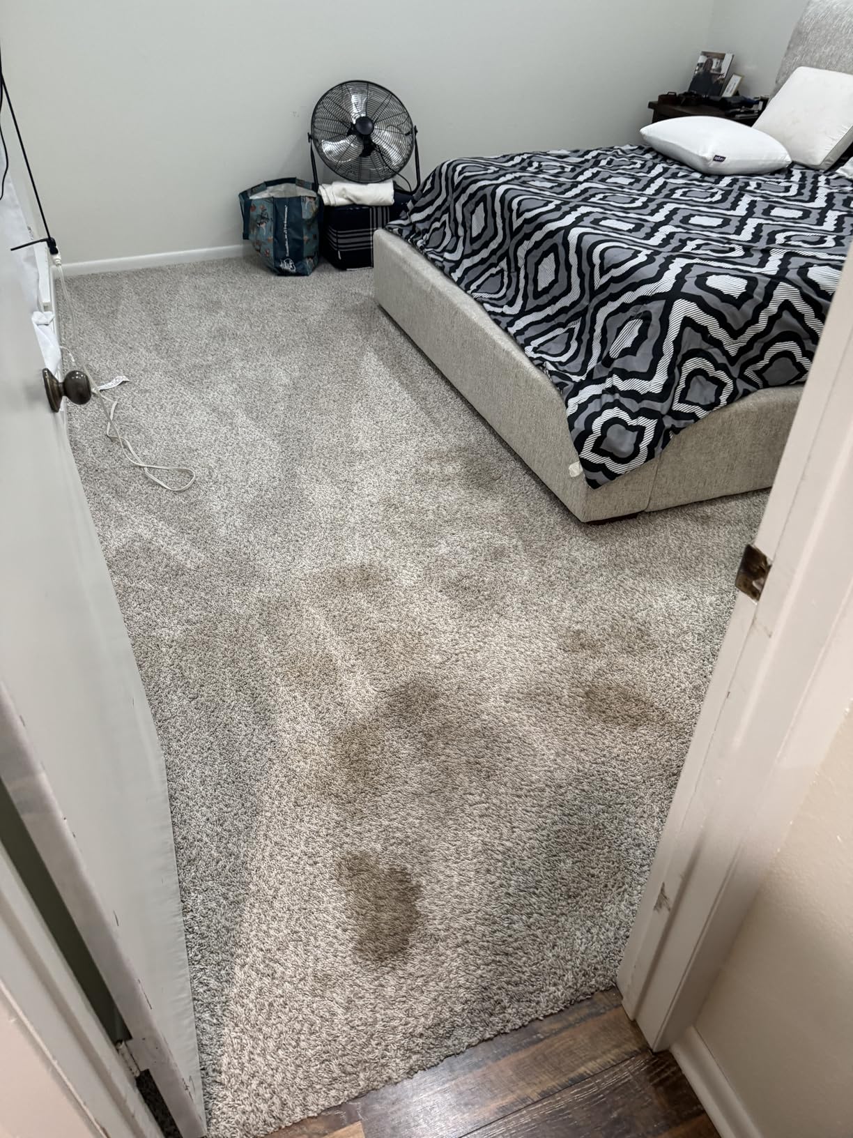 BISSELL ProHeat 2X Revolution Pet Pro Plus, 3588F, Upright Deep Cleaner, 30-minute Dry Time, Dual Dirt Lifter Powerbrush, Hose & Tool Attachment, Pet Upholstery and Tough Stain Tool Included customer photo 1
