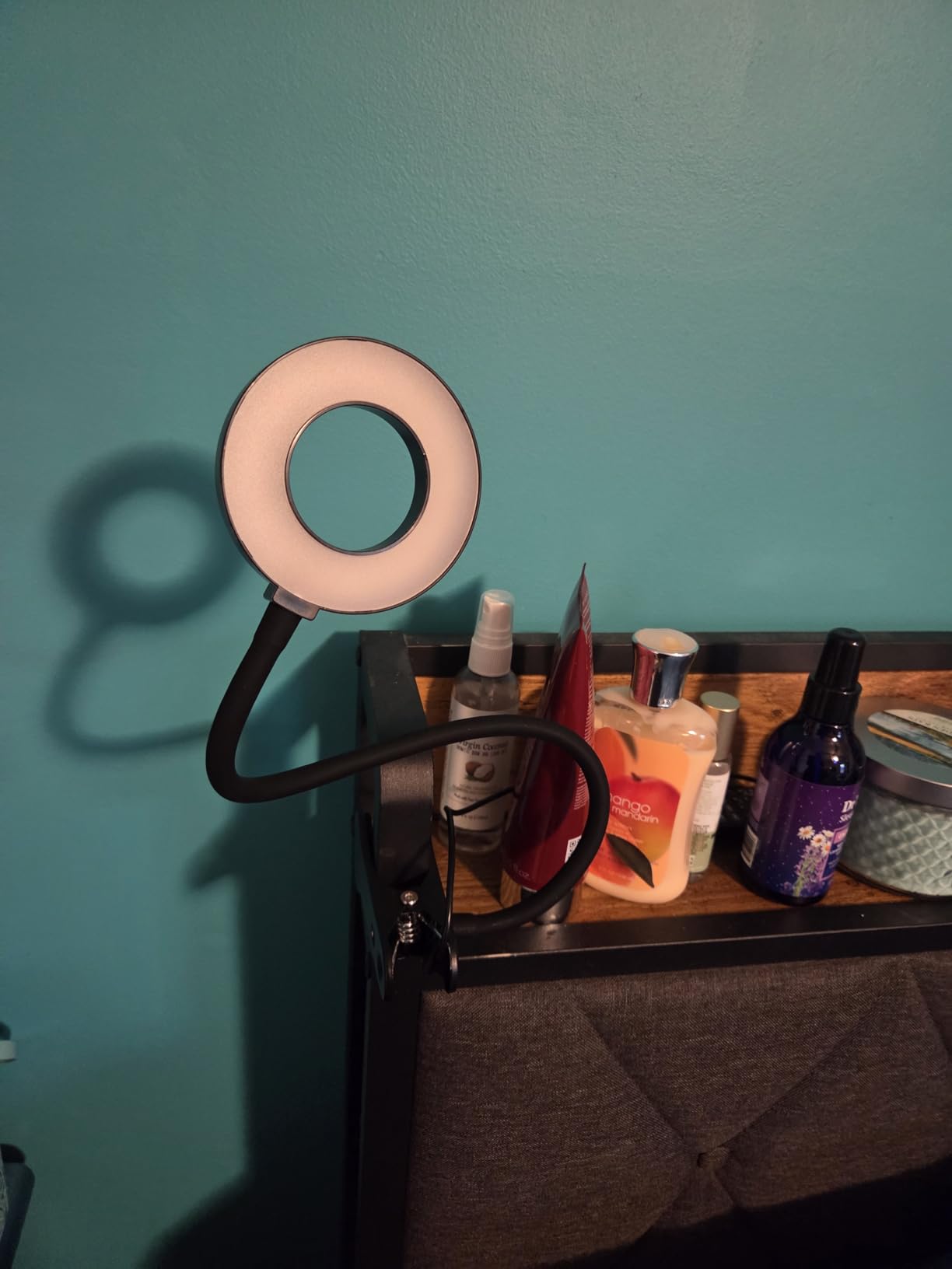 iZELL Desk Lamp, [3 Color Modes & 10 Brightness] LED Reading Light with Clamp, Flexible Gooseneck Book Light for Kids Reading Book in Bed at Night Clip on Table, Headboard, Dorm - 15.8'' Black - Customer Photo 1