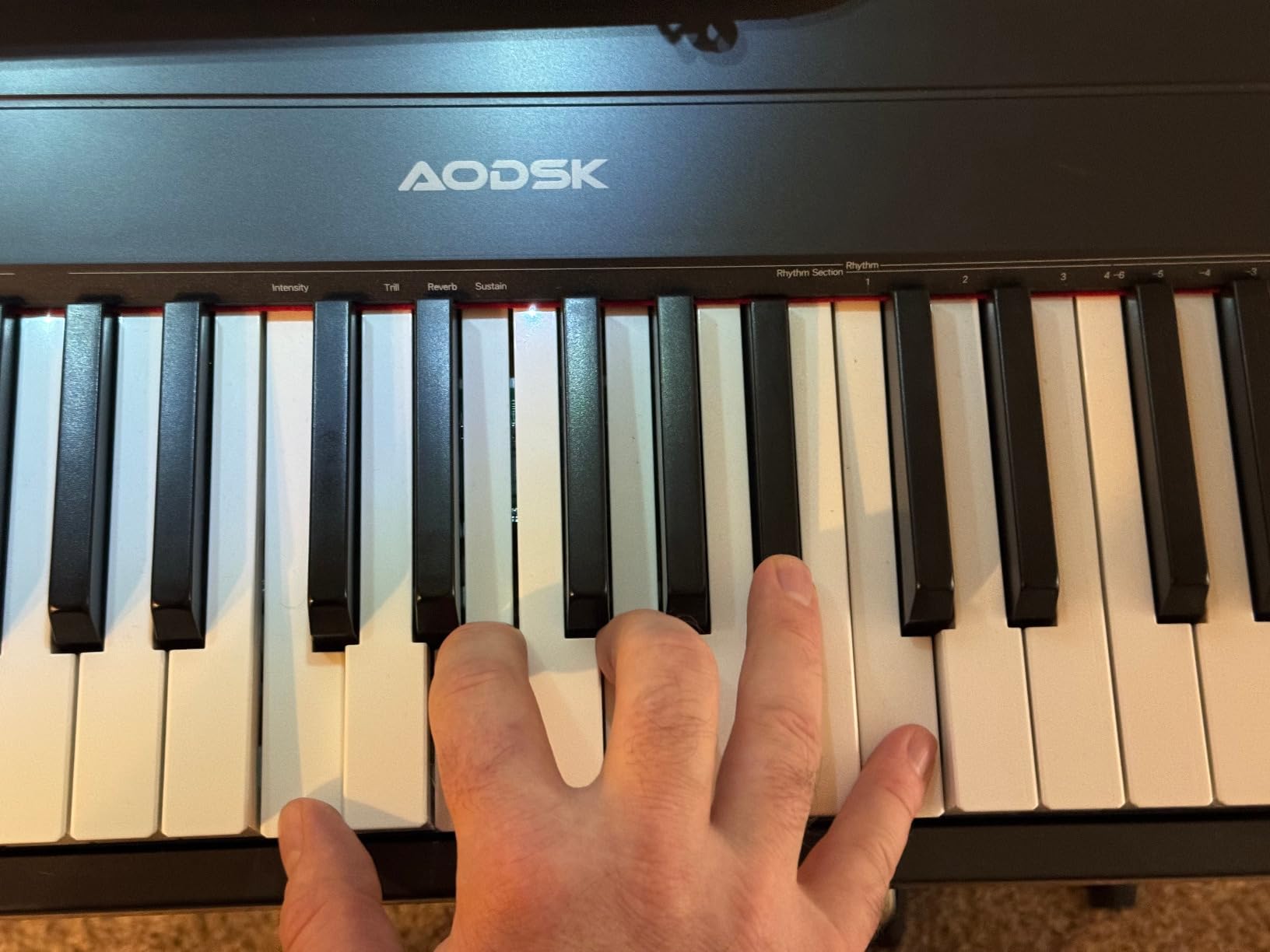 AODSK Weighted Piano 88-Key Beginner Digital Piano,Full Size Weighted keyboard with Hammer Action,with Sustain Pedal,15W Stereo Speakers,MP3 Function,Piano Lessons,Black,S-200 - Customer Photo 1