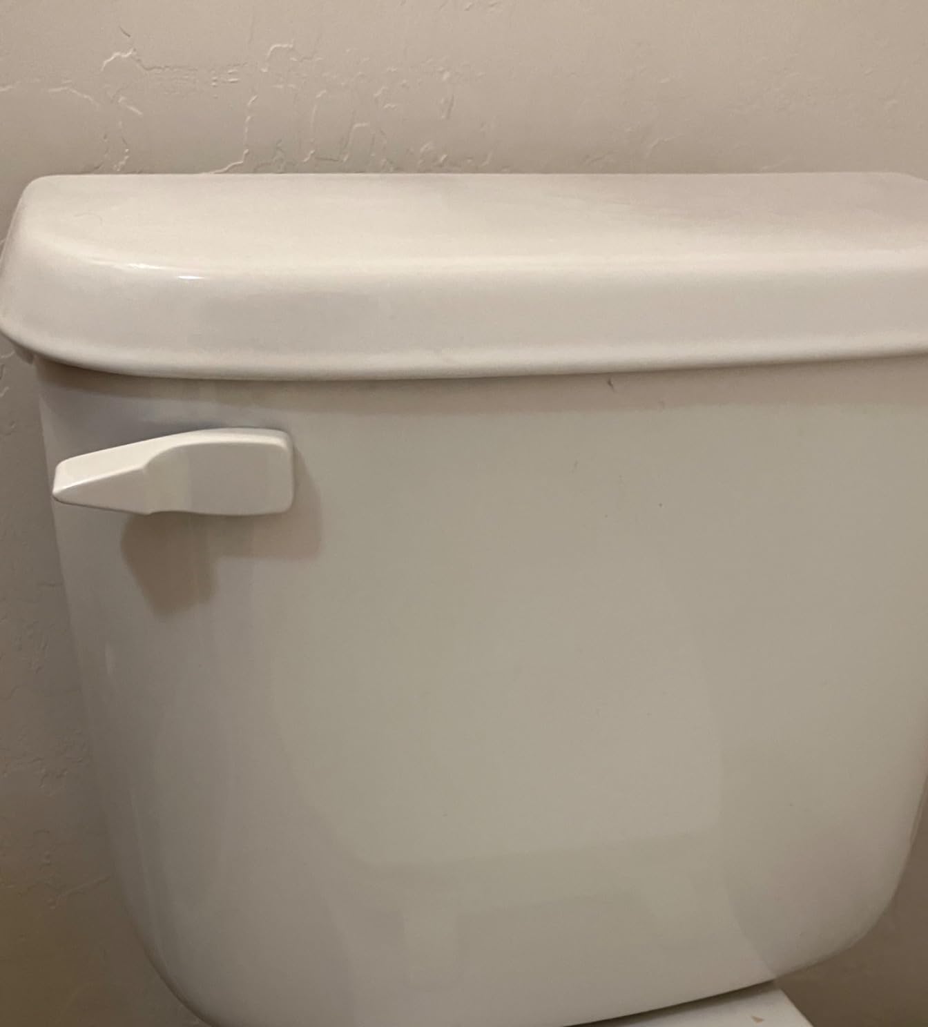 Hygie Rinse Universal Front Mount Metal Toilet Handle Customer Review Hygie Rinse Universal Front Mount Metal Toilet Handle - Customer Photo 2