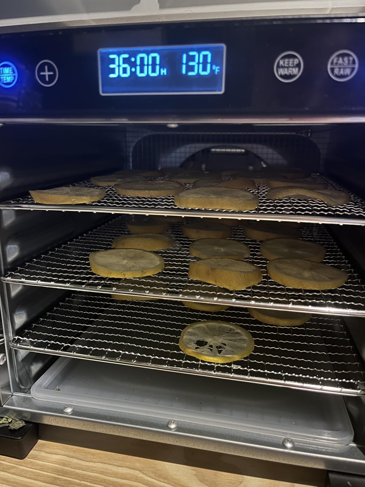 Magic Mill Pro Food Dehydrator Machine | 7 Stainless Steel Trays | Dryer for Jerky, Dog Treats, Herb, Meat, Beef, Fruit | Keep Warm Function, Digital Timer and Temperature Control, ETL Approved Customer Review Magic Mill Pro Food Dehydrator Machine | 7 Stainless Steel Trays | Dryer for Jerky, Dog Treats, Herb, Meat, Beef, Fruit | Keep Warm Function, Digital Timer and Temperature Control, ETL Approved - Customer Photo 2