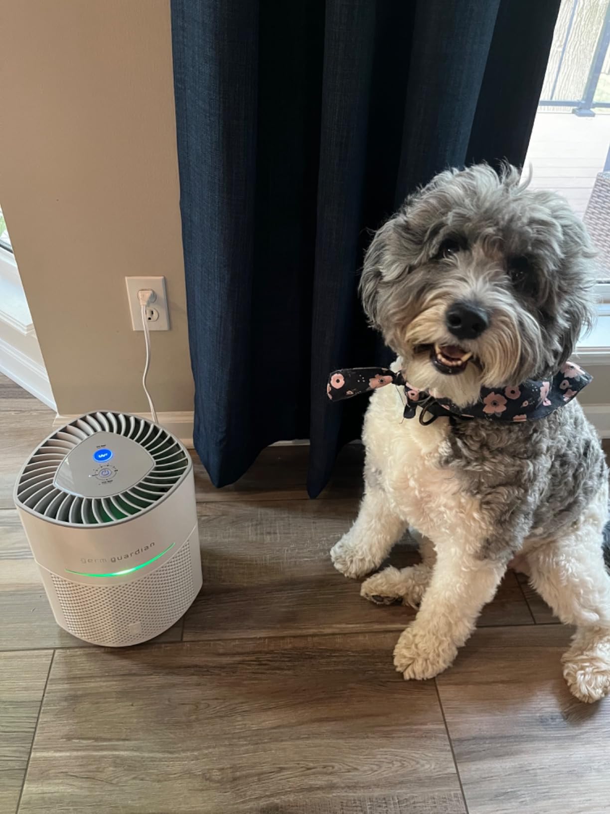 GermGuardian Airsafe+ HEPA Air Purifier for Home, Large Rooms Up To 1043 Sq. Ft. with HEPA Air Filter, UV-C Light & Air Quality Sensor, AC3000W, White - Customer Photo 2
