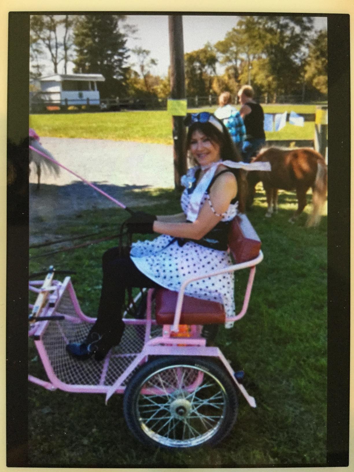 Gazelle Tony Little Total Body Fitness Workout Exercise Elliptical Glider Supports 250-300lbs with Low-Impact Design for Home Gym Customer Review Gazelle Tony Little Total Body Fitness Workout Exercise Elliptical Glider Supports 250-300lbs with Low-Impact Design for Home Gym - Customer Photo 1