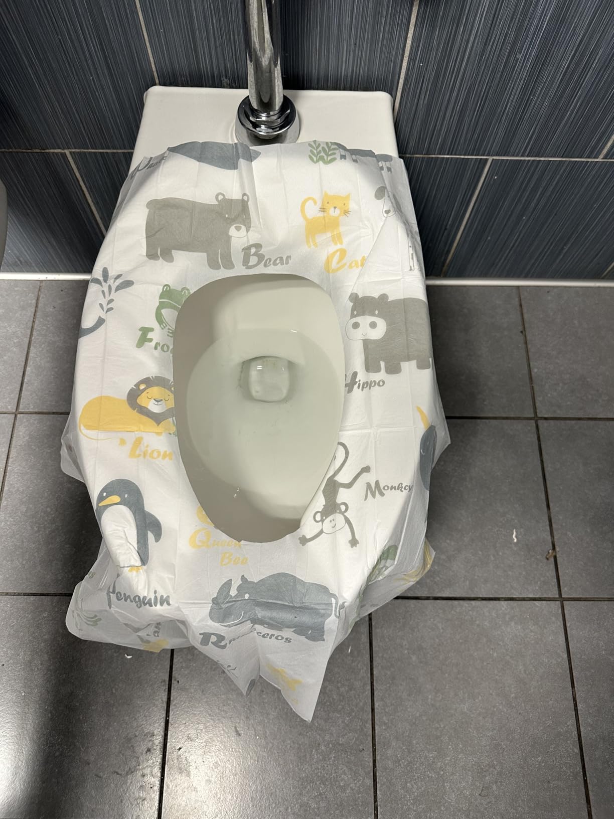 Blissful Diary 20 Pcs Toilet Seat Covers Disposable for Toddlers & Adults, Extra Large Waterproof, Portable Package for Travel, Kids Potty Training - Customer Photo 1