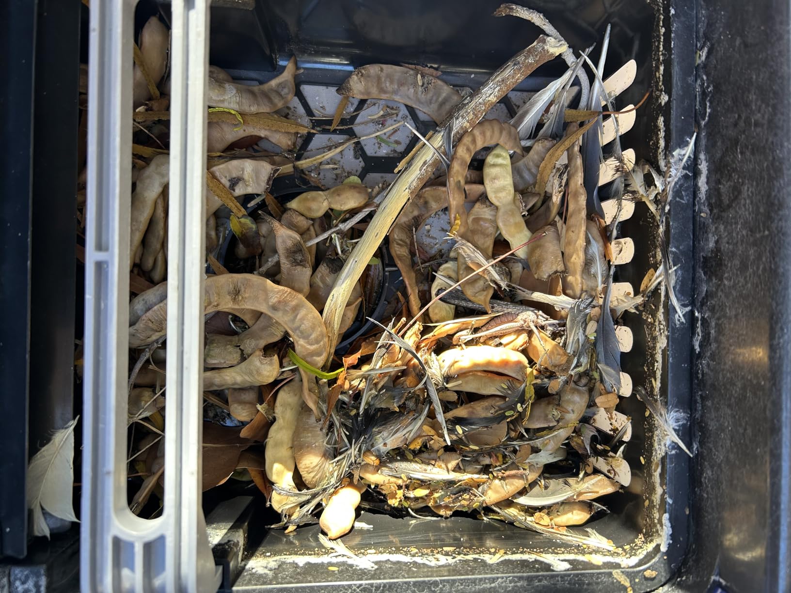 Betta SE Solar Powered Automatic Robotic Pool Surface Skimmer Cleaner with 24/7 Continuous Cleaning Battery Power and Re-Engineered Twin Salt Chlorine Tolerant Motors (Blue) - Customer Photo 1