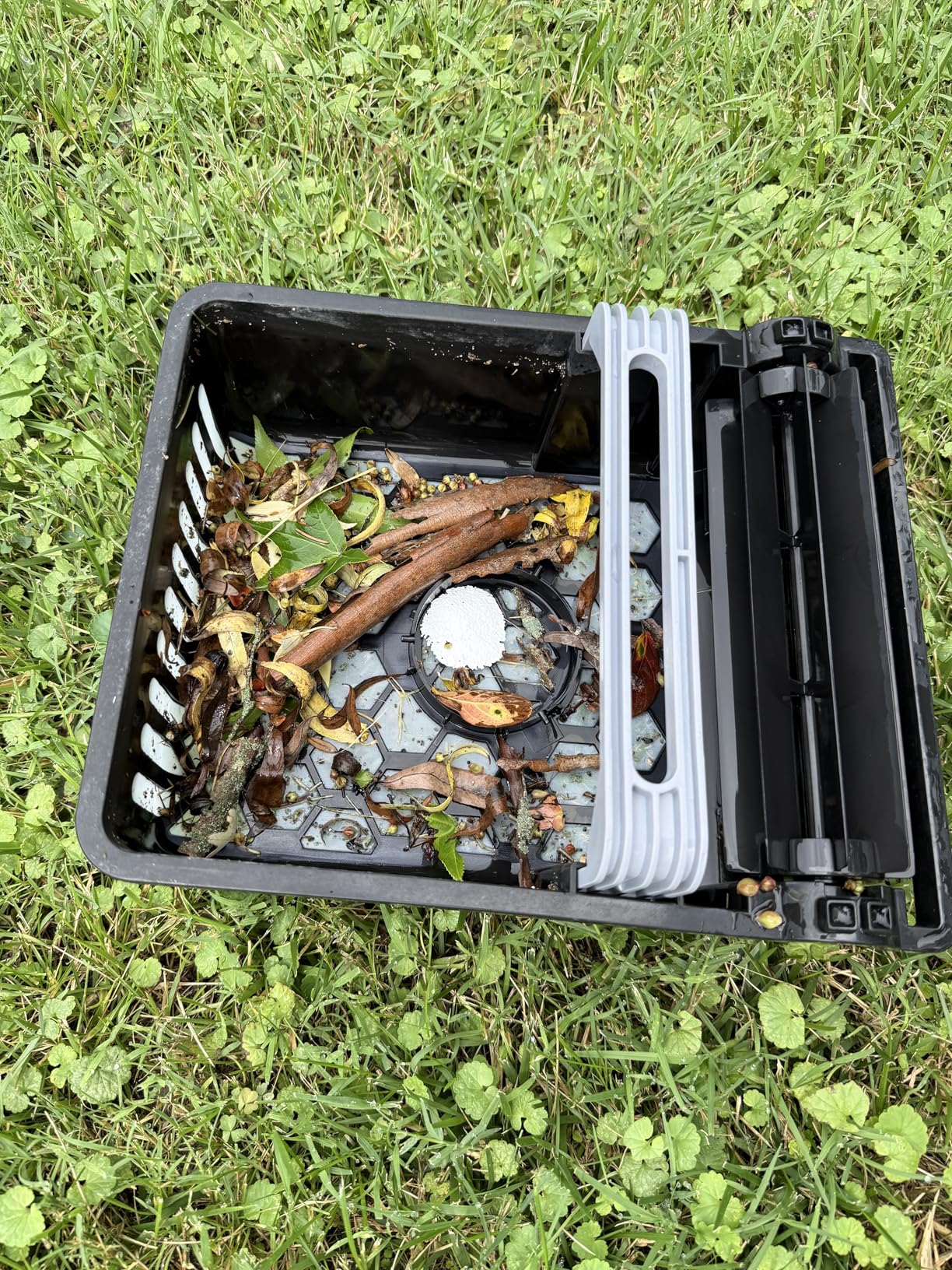 Betta SE Solar Powered Automatic Robotic Pool Surface Skimmer Cleaner with 24/7 Continuous Cleaning Battery Power and Re-Engineered Twin Salt Chlorine Tolerant Motors (Blue) - Customer Photo 3