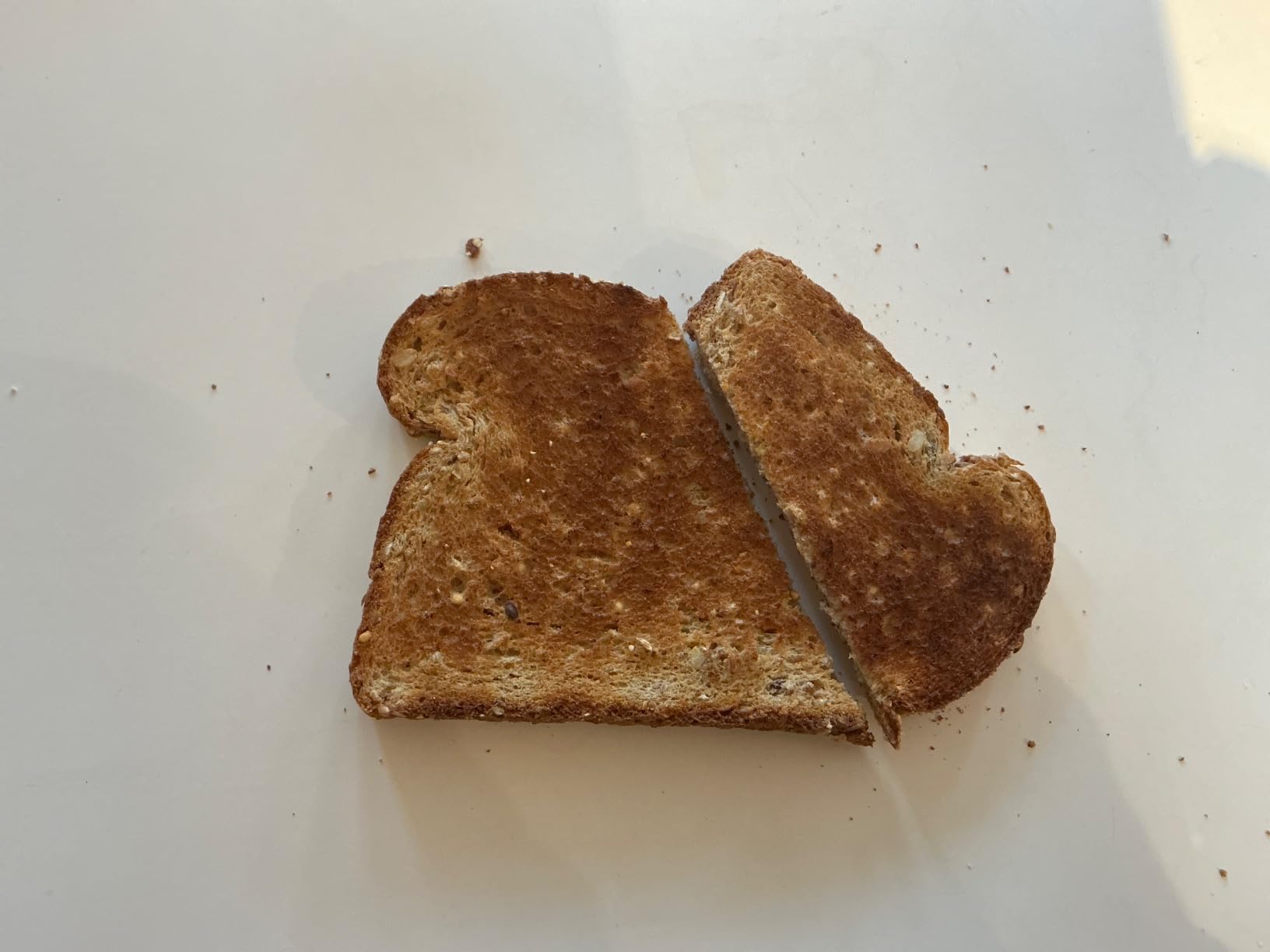 Hamilton Beach Gourmet 2 Slice Slot Toaster with Extra Long & Wide Slots, Sure-Toast Technology, Shade Selector with 7 Browning Levels, Bagel Setting, Matte Black and Stainless Steel (22996) Customer Review Hamilton Beach Gourmet 2 Slice Slot Toaster with Extra Long & Wide Slots, Sure-Toast Technology, Shade Selector with 7 Browning Levels, Bagel Setting, Matte Black and Stainless Steel (22996) - Customer Photo 1