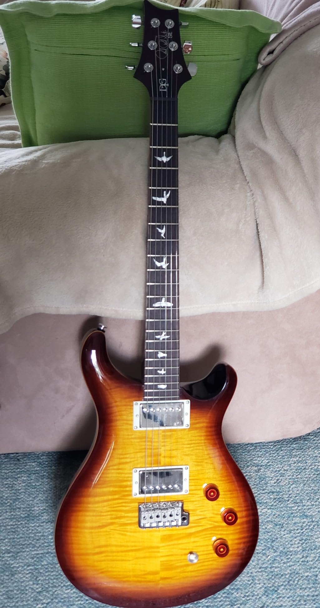 PRS Paul Reed Smith 6 String SE DGT Electric, Moons Gold Top with Gigbag - Customer Photo 1