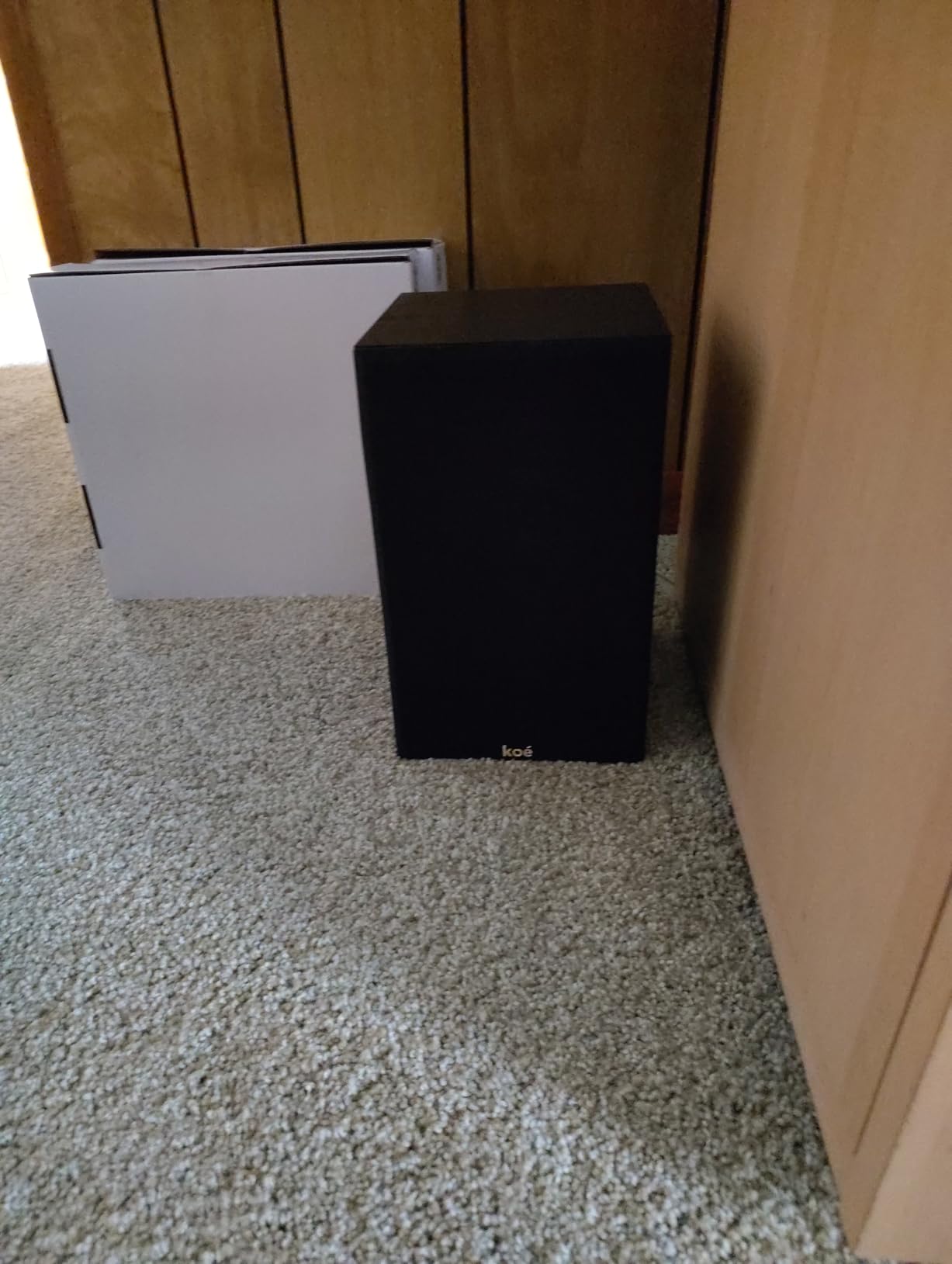 Koe' B102 – 100 Watt Home Theater, Passive Bookshelf Speakers (Pair) Hi-Res Audio, Excellent Response, HiFi, Satellites, Includes SPL/Freq Graph, Wall-Mountable, Black - Customer Photo 1