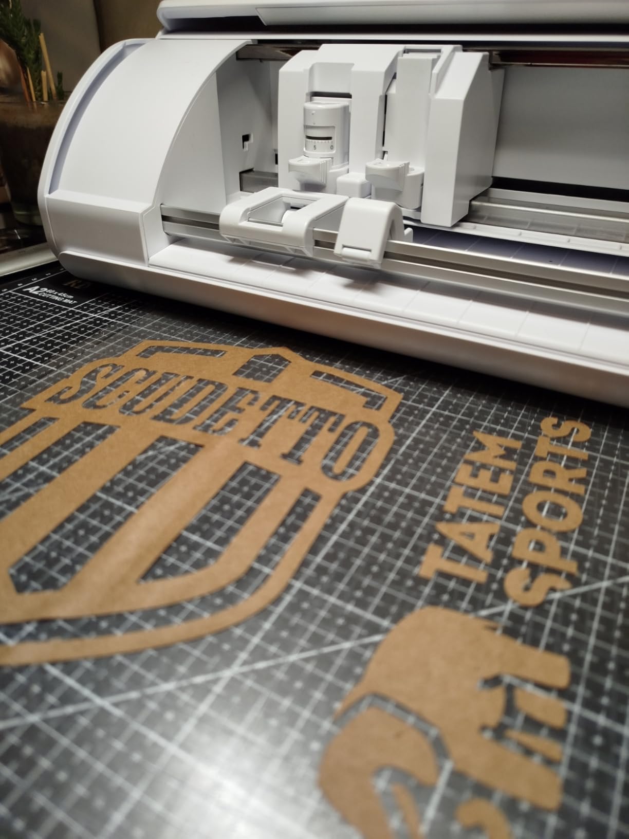 Silhouette Cameo 5 12 inch Vinyl Cutting Machine with Studio Software, Electric Tool and ES Mat Compatible, SNA and IPT, 50 db, White Edition - Customer Photo 1