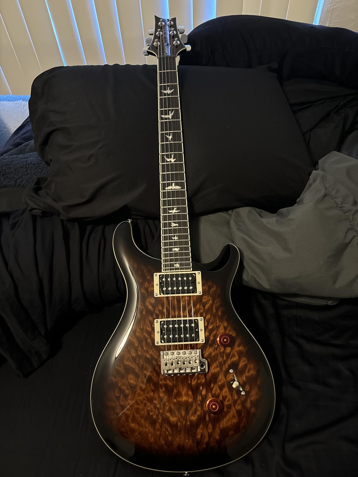 PRS Guitars 6 String SE Custom 24 Quilt Electric Guitar, Black Gold Sunburst with Gigbag - Customer Photo 1