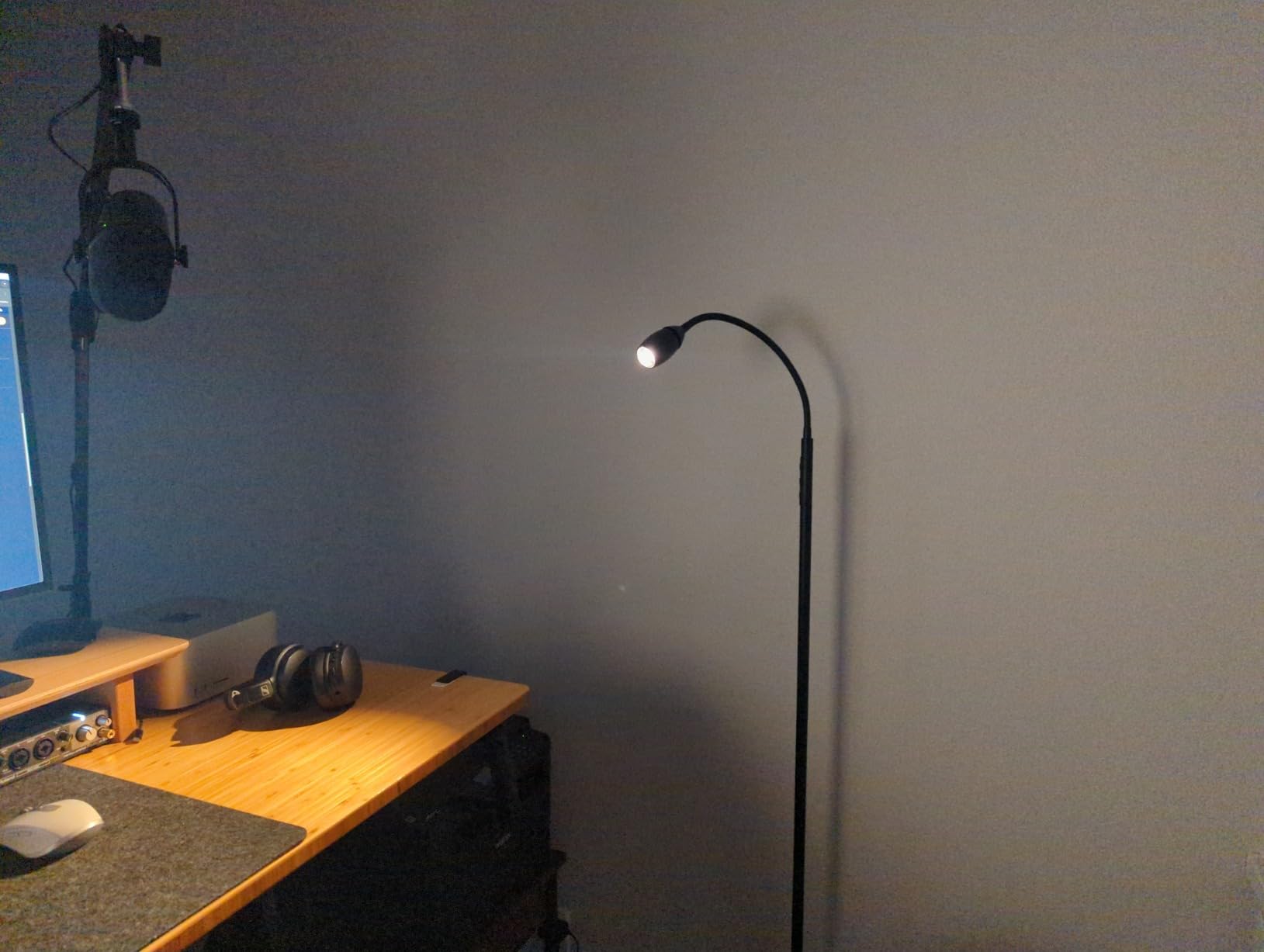 Reading Floor Lamp, 72