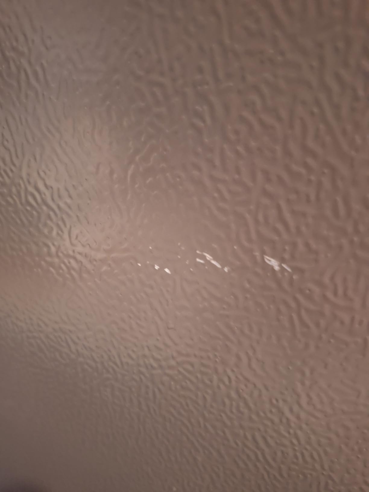 Kenmore 33 in. 20.4 cu. ft Capacity Refrigerator/Freezer with Full-Width Adjustable Glass Shelving, Humidity Control Crispers, Ice Maker, ENERGY STAR Certified, Black Customer Review Kenmore 33 in. 20.4 cu. ft Capacity Refrigerator/Freezer with Full-Width Adjustable Glass Shelving, Humidity Control Crispers, Ice Maker, ENERGY STAR Certified, Black - Customer Photo 3