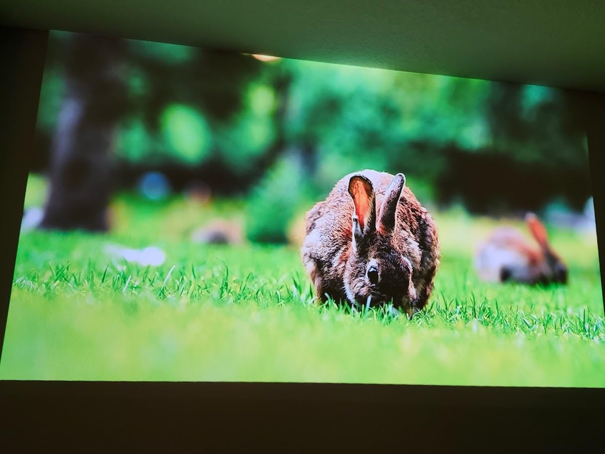 Dangbei Atom Portable Laser Projector, 1200 ISO Lumens, 3D Ready, Official Netflix, 1080p HD with 4K HDR Input, 180