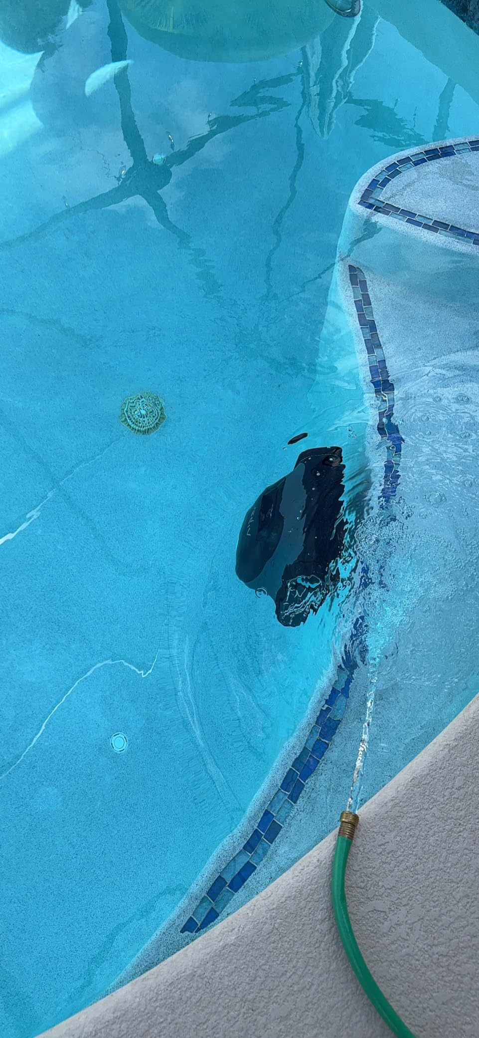 AIPER Scuba S1 Cordless Robotic Cleaner, Smart Navigation for Inground Pools up to 1,600 Sq.ft, Wall and Waterline Cleaning Vacuum - Customer Photo 2