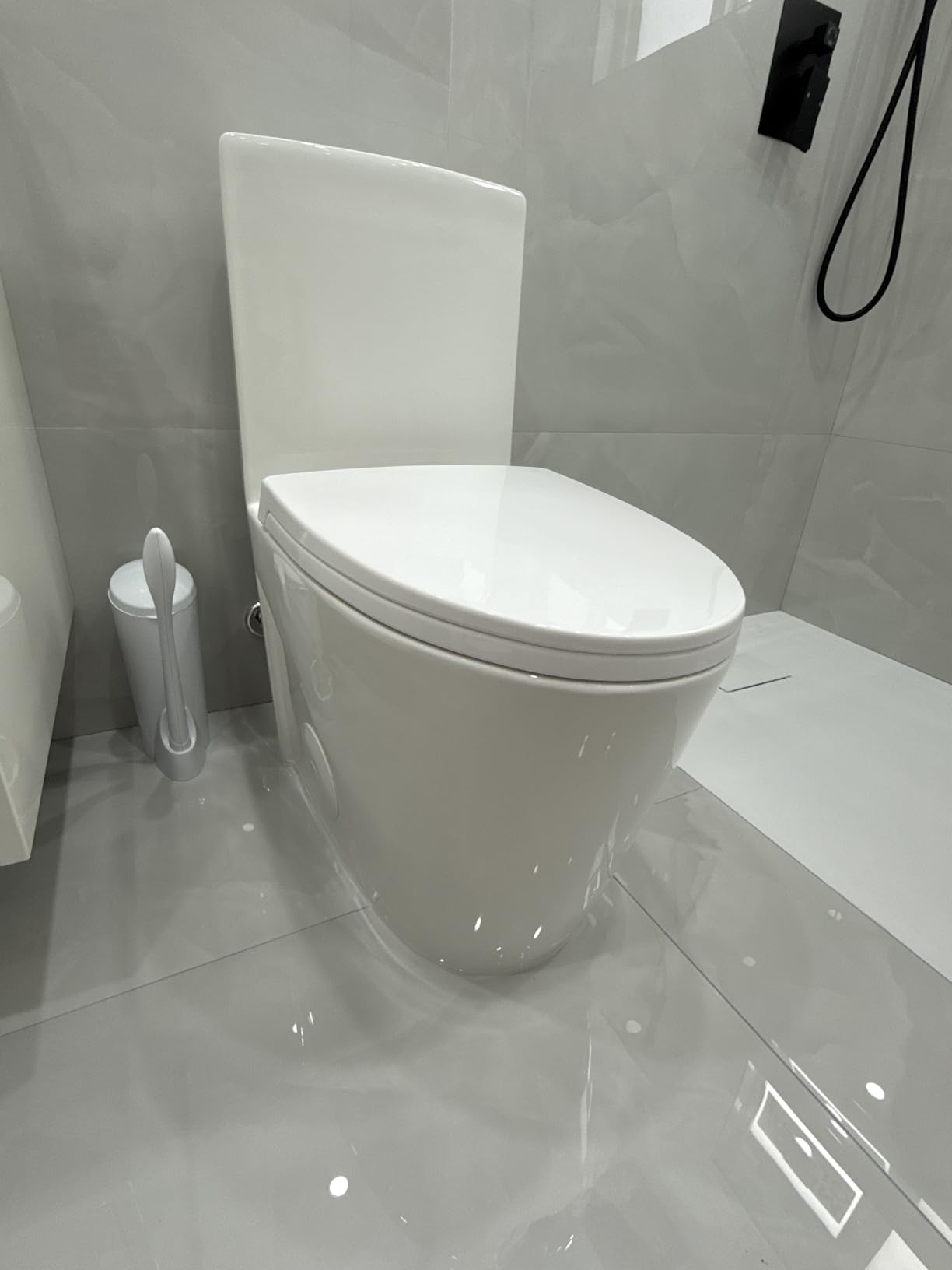Dual flush toilet - Customer Photo 1