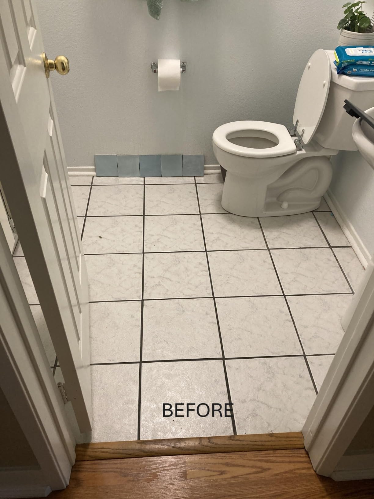 Dual flush toilet - Customer Photo 1