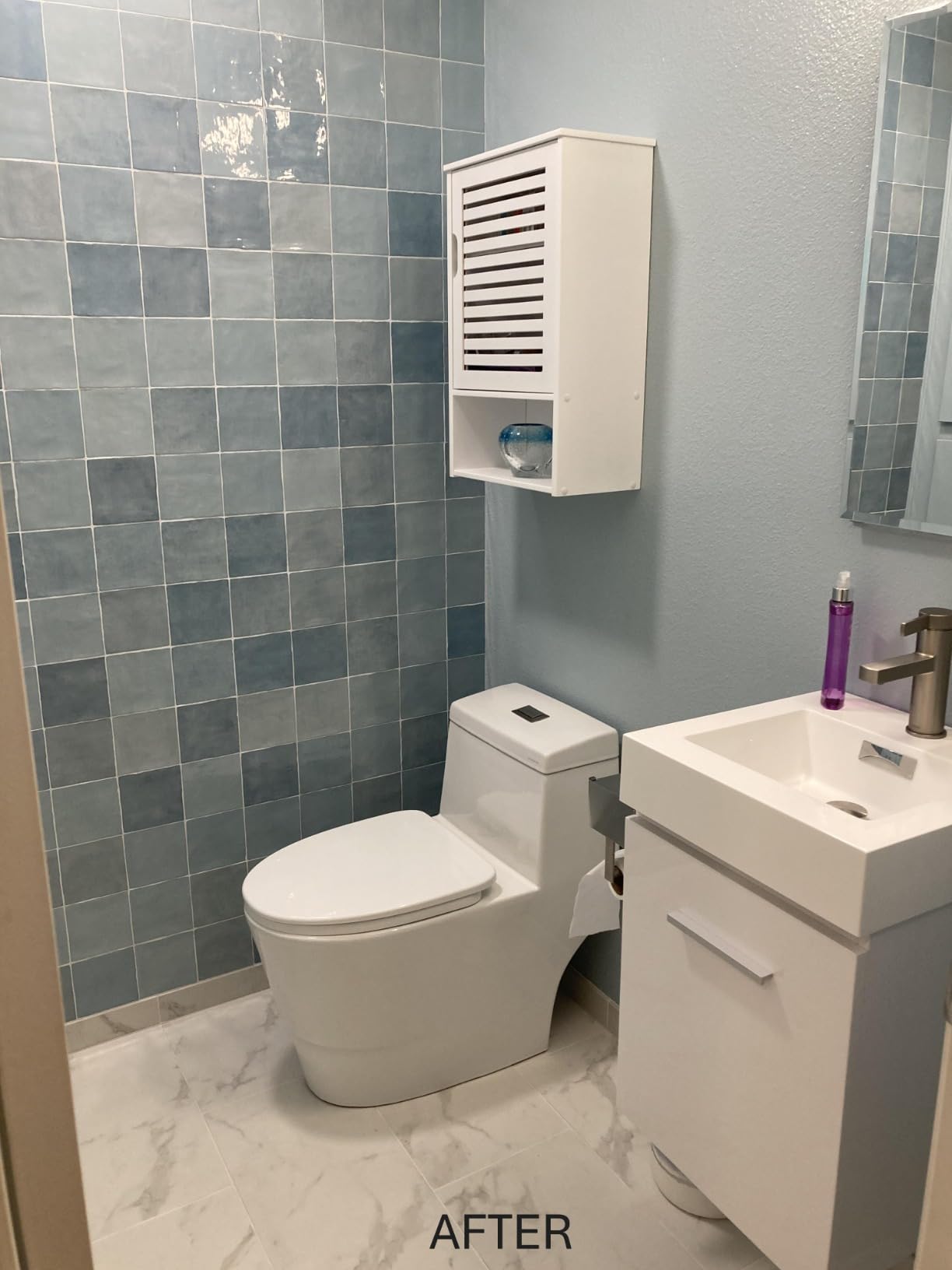 Dual flush toilet - Customer Photo 2