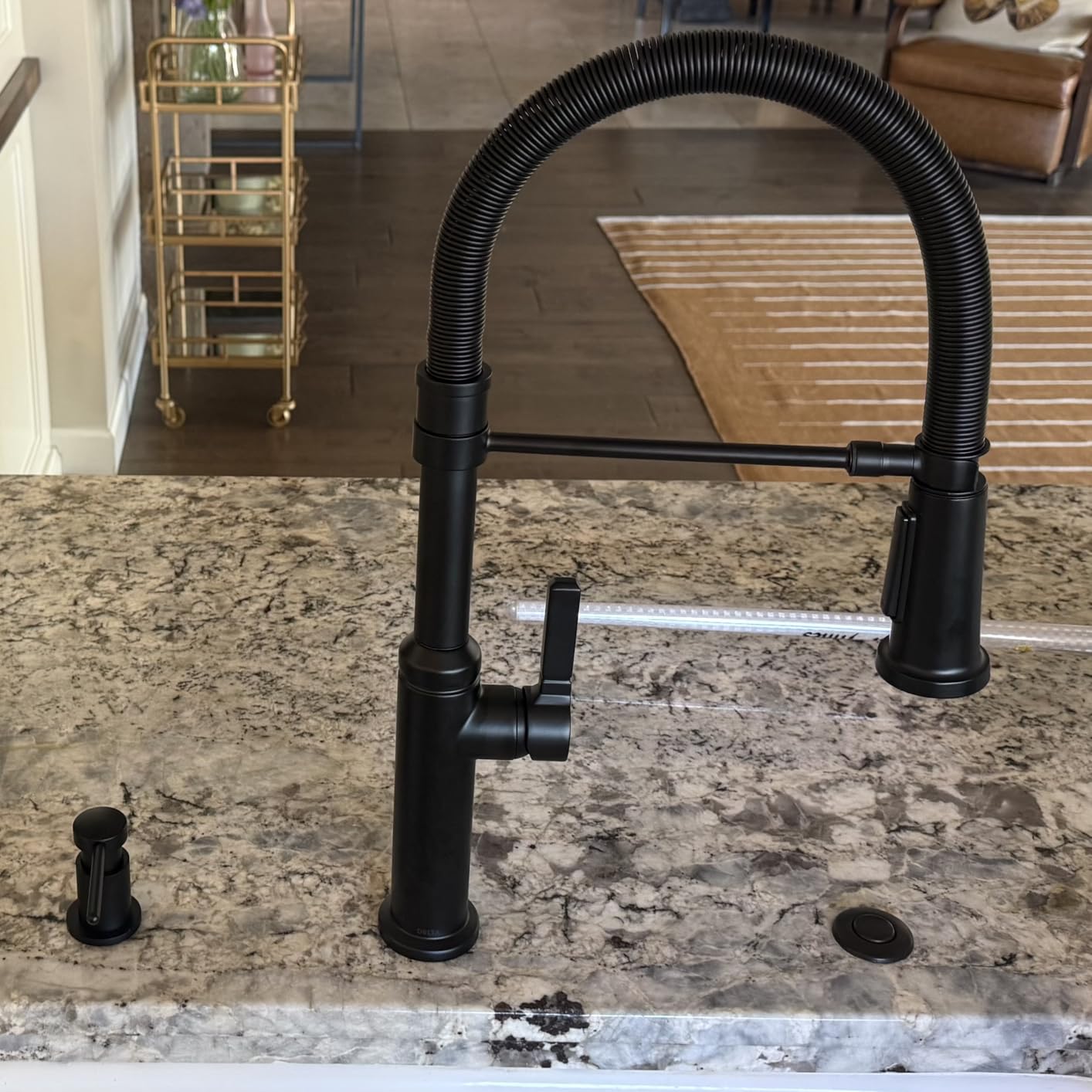 Delta Rhett Pro Style Commercial Kitchen Faucet with Pull Down Sprayer, Brushed Nickel Single Hole Kitchen Sink Faucet, Single Handle, Stainless 18829-SS-DST - Customer Photo 2
