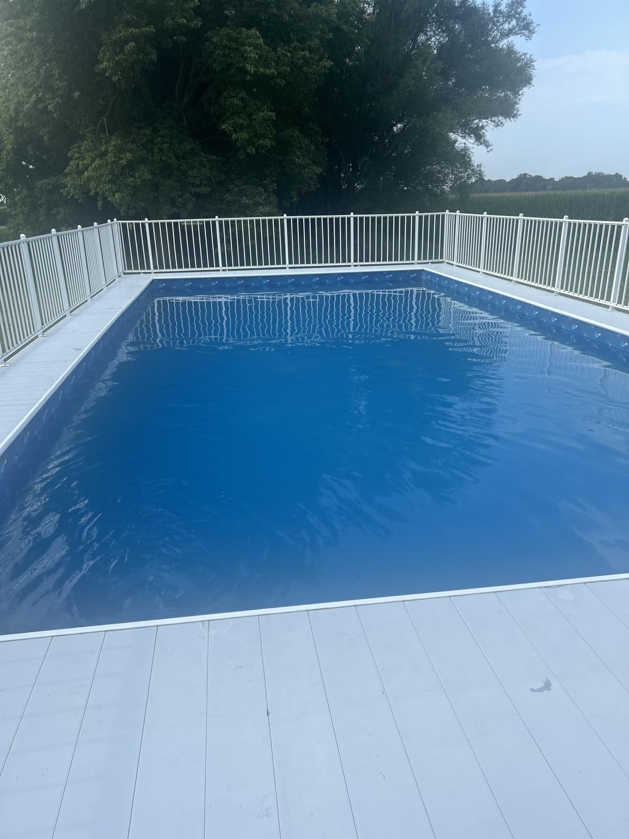 Copper Pool Algaecide for Swimming Pool - 90 Day Algaecide for Inground Pool to Prevent and Remove Pool Algae - Super Algaecide for Pool Opening - AquaDoc 32oz - Customer Photo 1